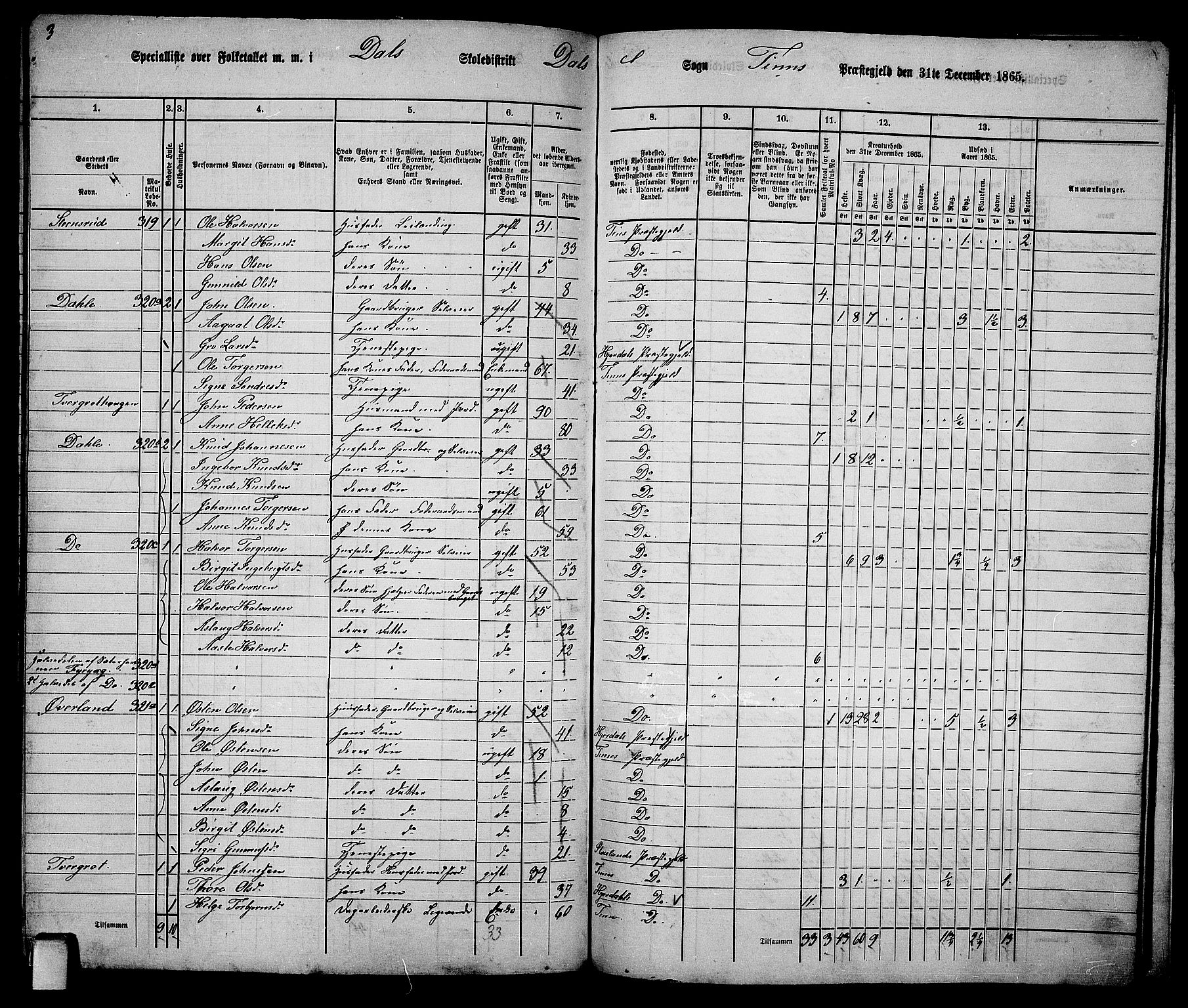 RA, 1865 census for Tinn, 1865, p. 104