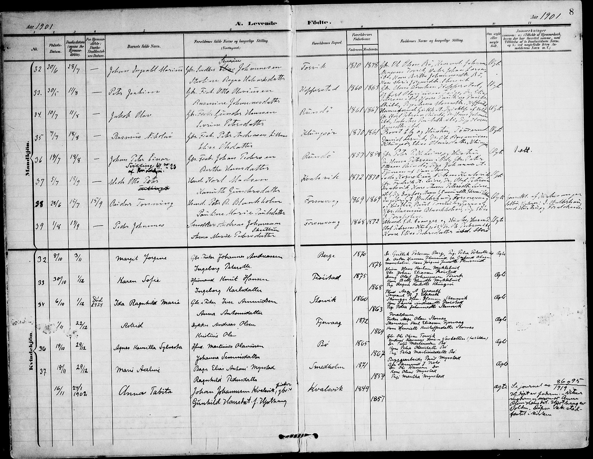 Ministerialprotokoller, klokkerbøker og fødselsregistre - Møre og Romsdal, AV/SAT-A-1454/507/L0075: Parish register (official) no. 507A10, 1901-1920, p. 8