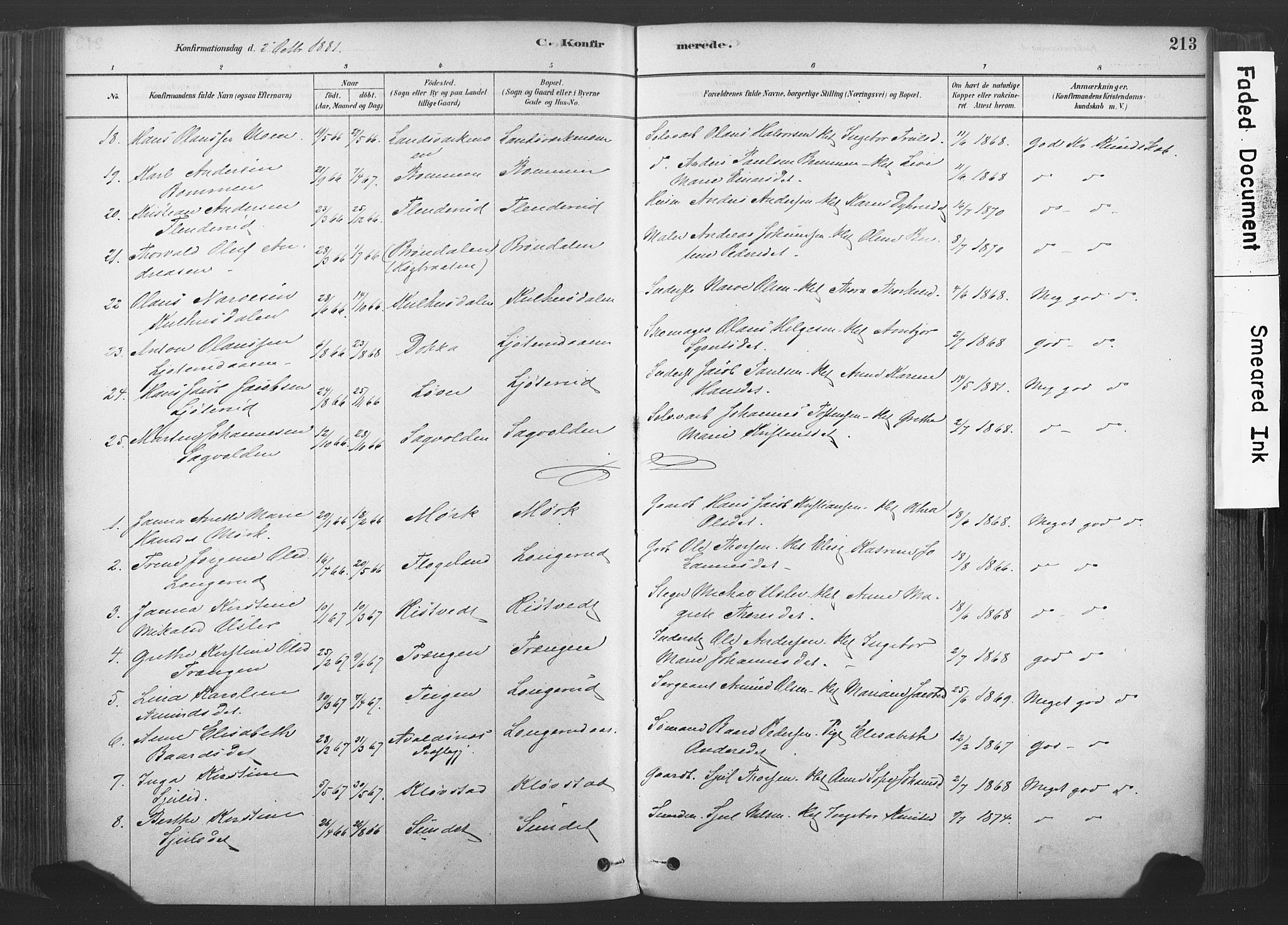 Sandsvær kirkebøker, AV/SAKO-A-244/F/Fd/L0001: Parish register (official) no. IV 1, 1878-1906, p. 213