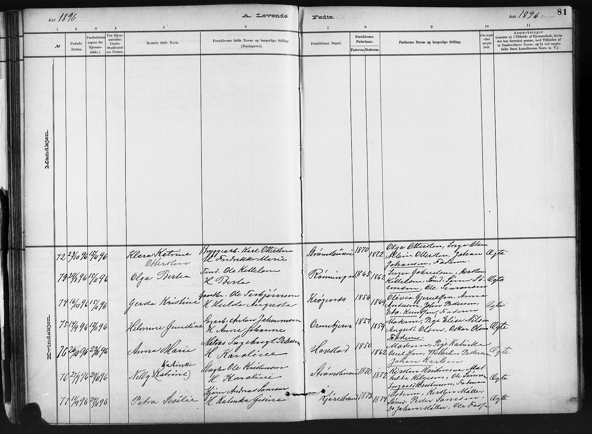 Barbu sokneprestkontor, AV/SAK-1111-0003/F/Fb/L0002: Parish register (copy) no. B 2, 1890-1922, p. 81