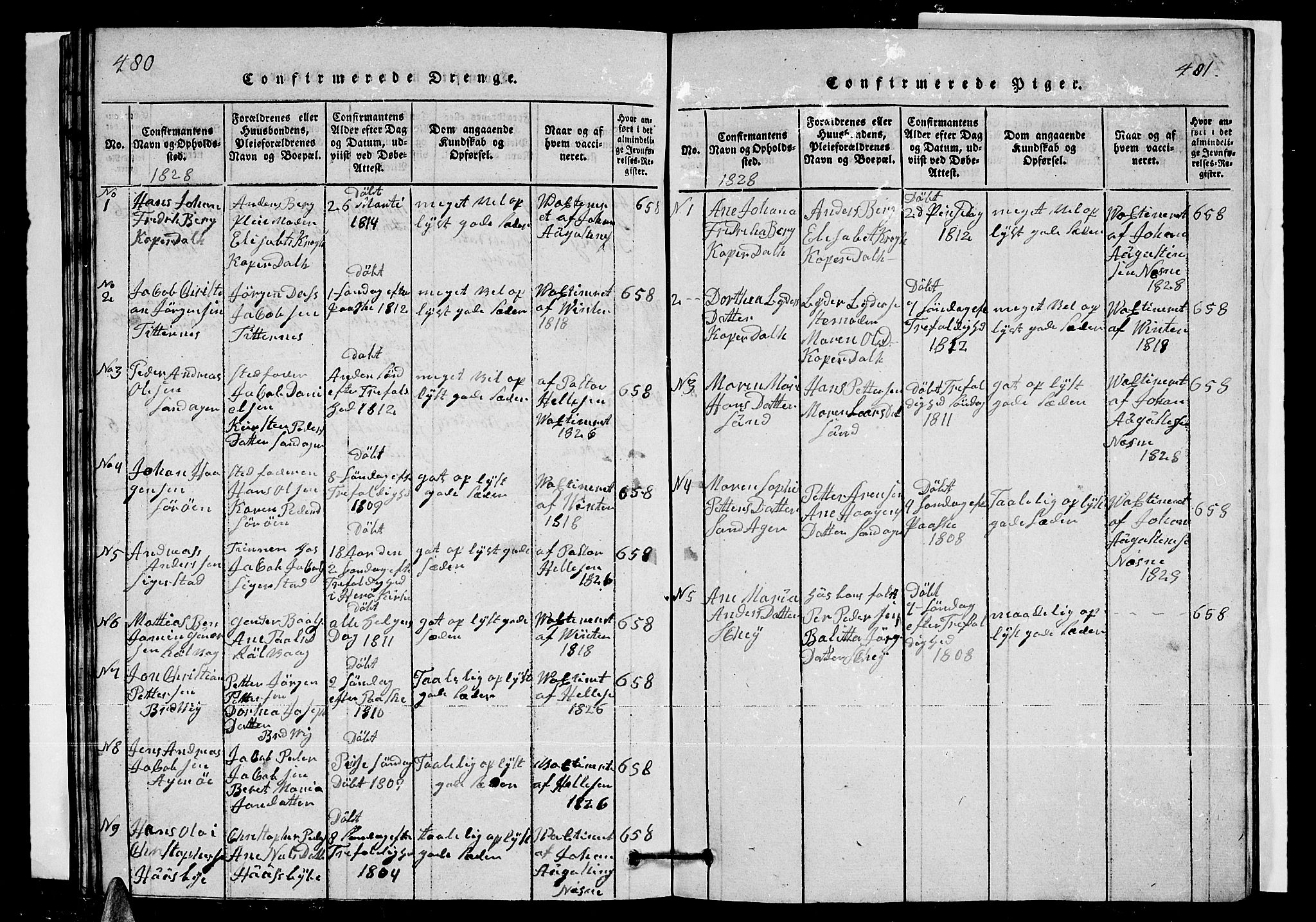 Ministerialprotokoller, klokkerbøker og fødselsregistre - Nordland, SAT/A-1459/835/L0529: Parish register (copy) no. 835C01, 1820-1828, p. 480-481