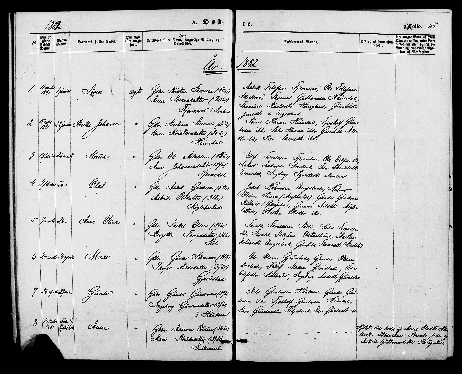 Herefoss sokneprestkontor, SAK/1111-0019/F/Fa/Fab/L0003: Parish register (official) no. A 3, 1875-1886, p. 25