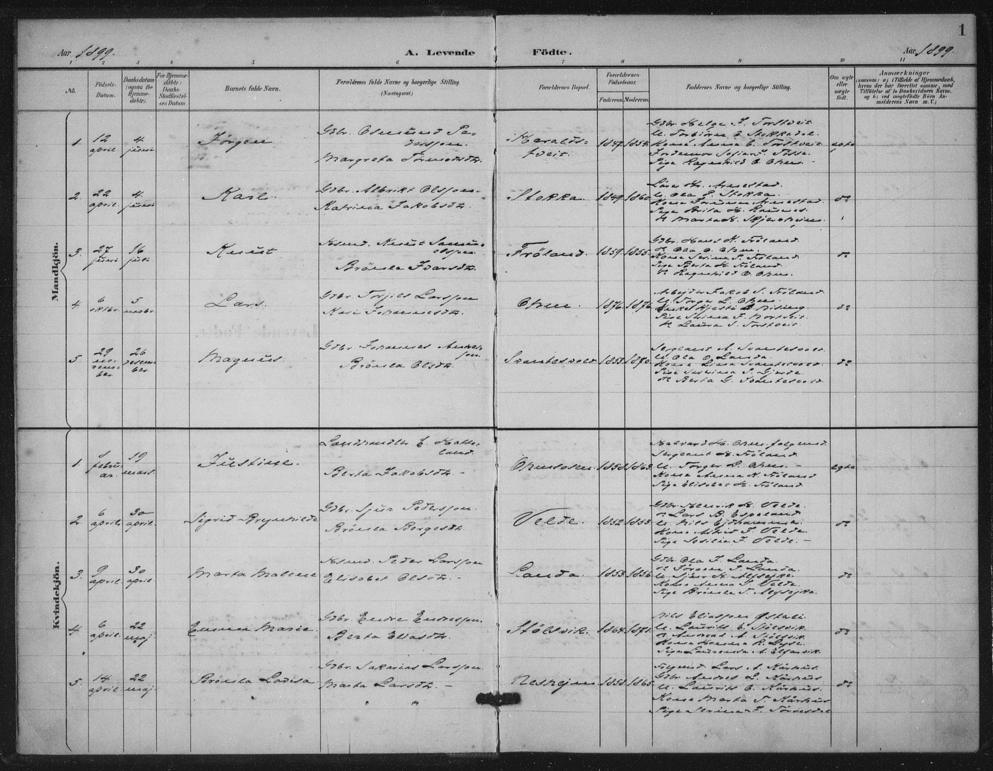 Skjold sokneprestkontor, SAST/A-101847/H/Ha/Haa/L0012: Parish register (official) no. A 12, 1899-1915, p. 1