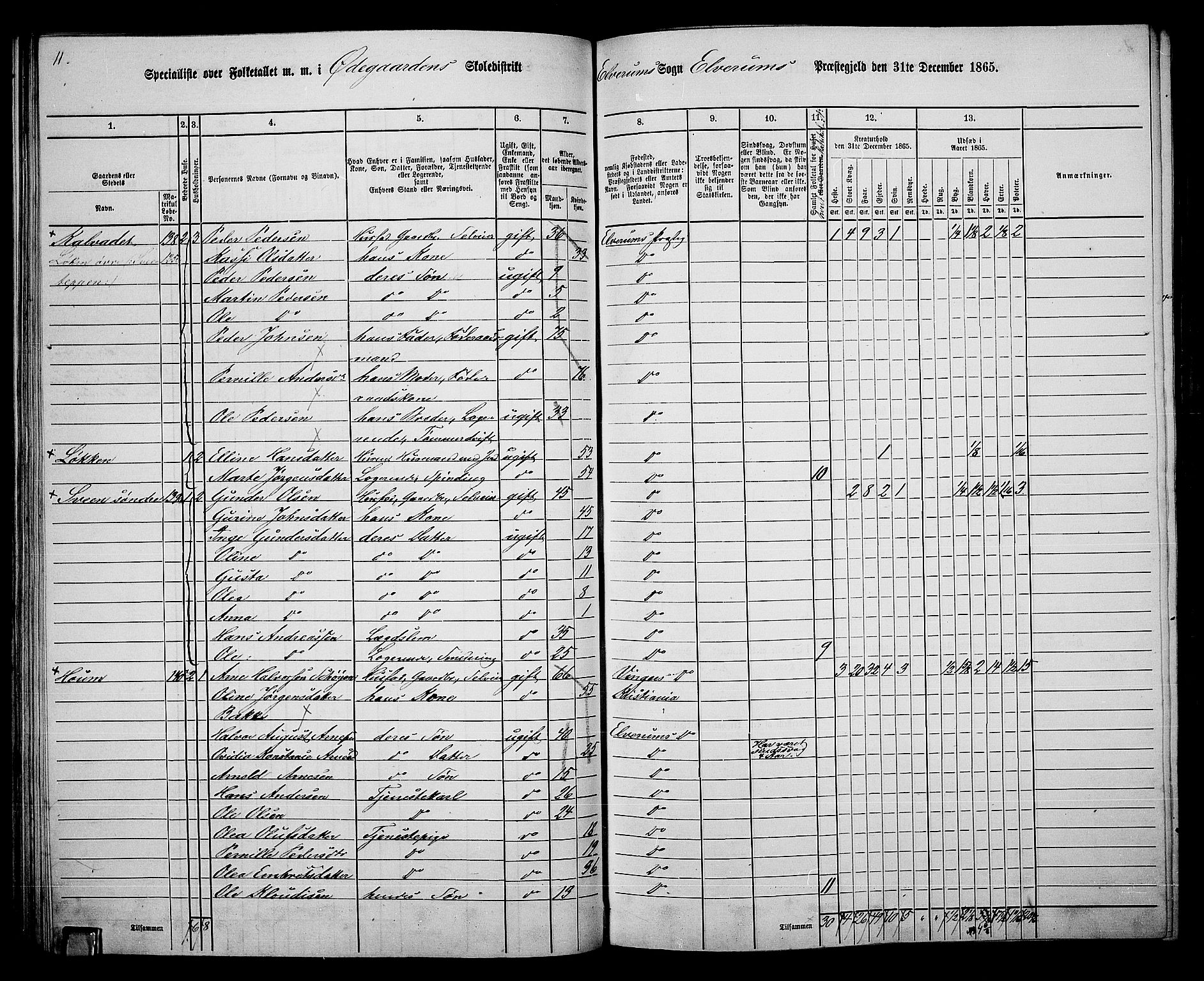 RA, 1865 census for Elverum, 1865, p. 79