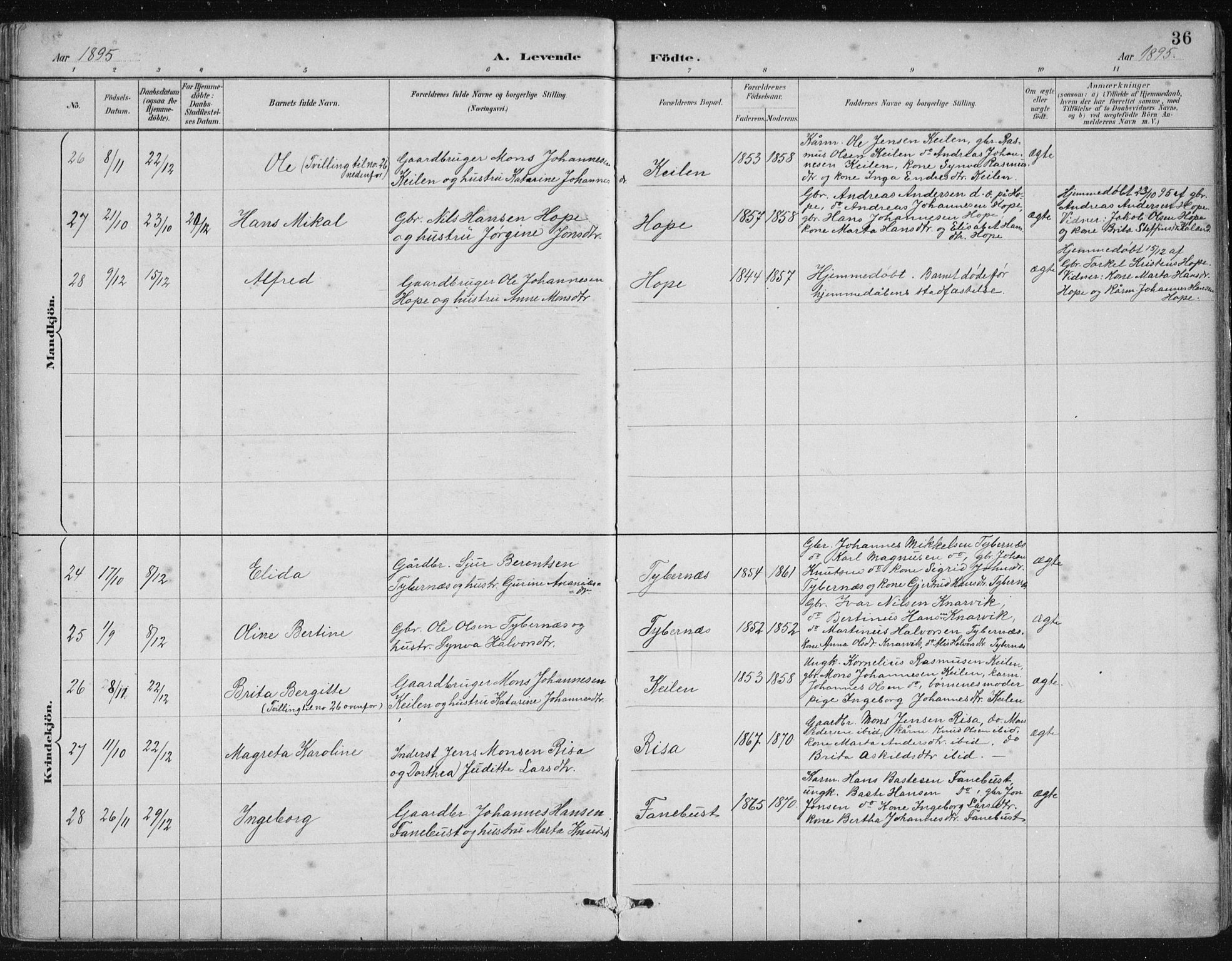 Lindås Sokneprestembete, SAB/A-76701/H/Hab: Parish register (copy) no. B 3, 1886-1914, p. 36
