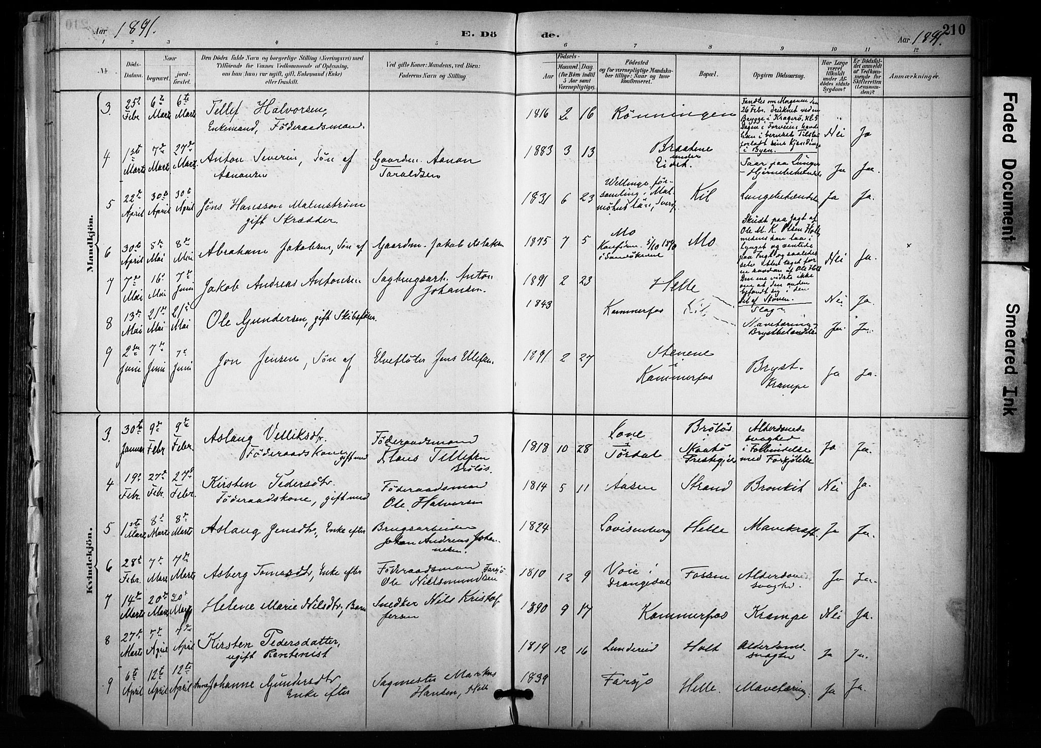 Sannidal kirkebøker, AV/SAKO-A-296/F/Fa/L0015: Parish register (official) no. 15, 1884-1899, p. 210