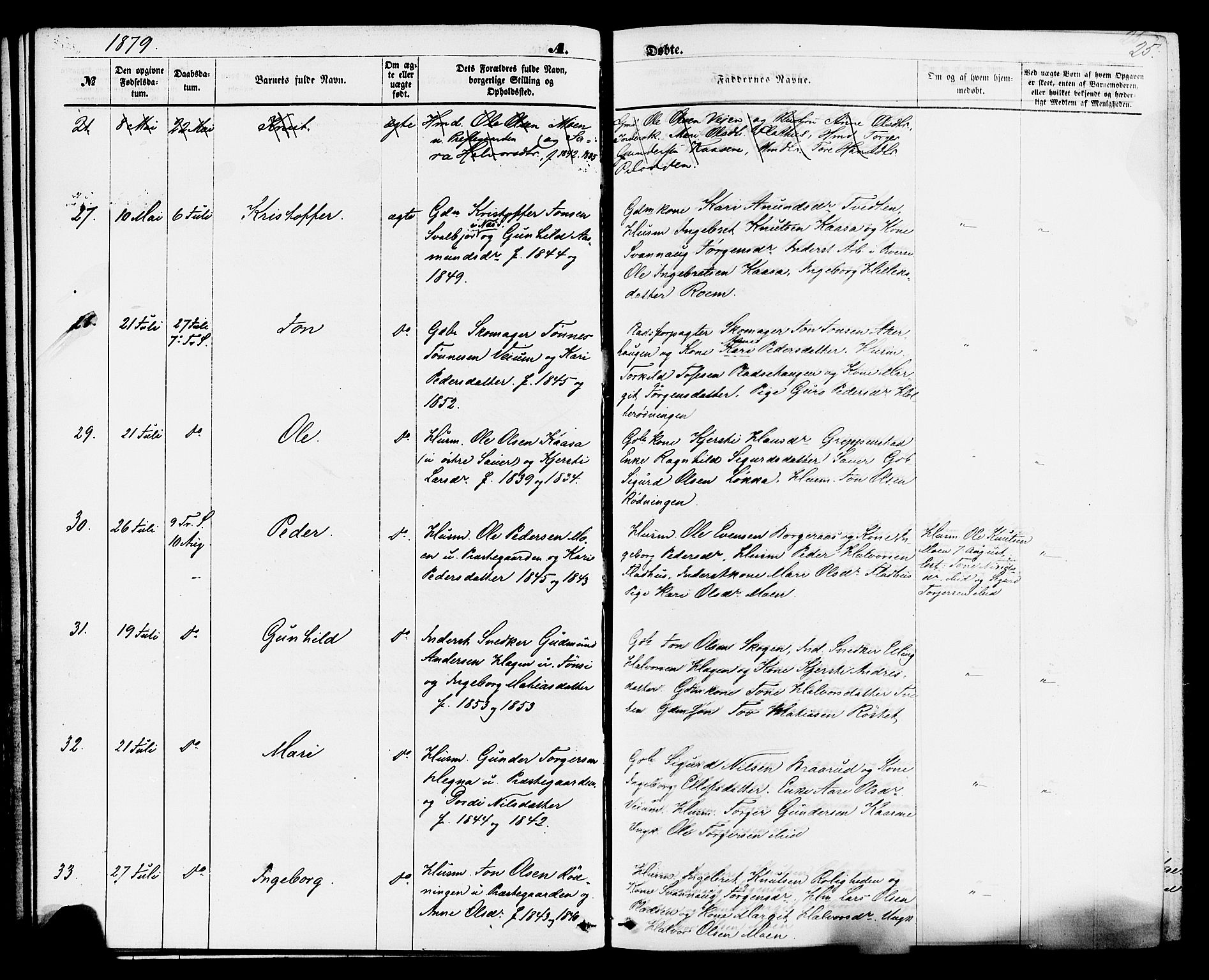 Sauherad kirkebøker, AV/SAKO-A-298/F/Fa/L0008: Parish register (official) no. I 8, 1873-1886, p. 25