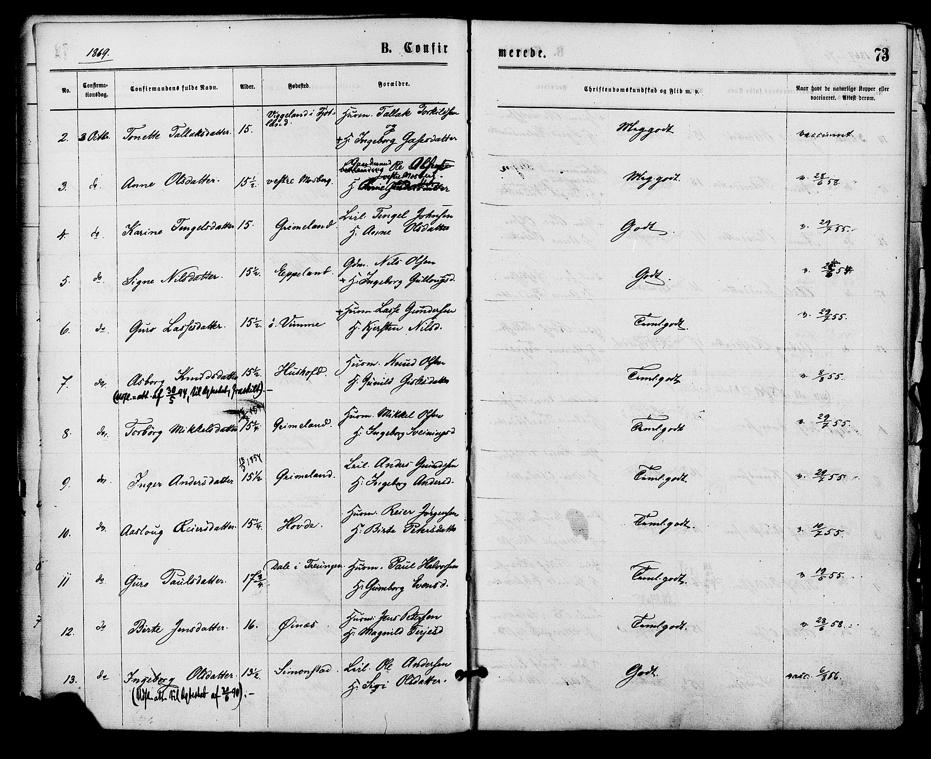 Åmli sokneprestkontor, AV/SAK-1111-0050/F/Fa/Fac/L0009: Parish register (official) no. A 9 /1, 1869-1884, p. 73