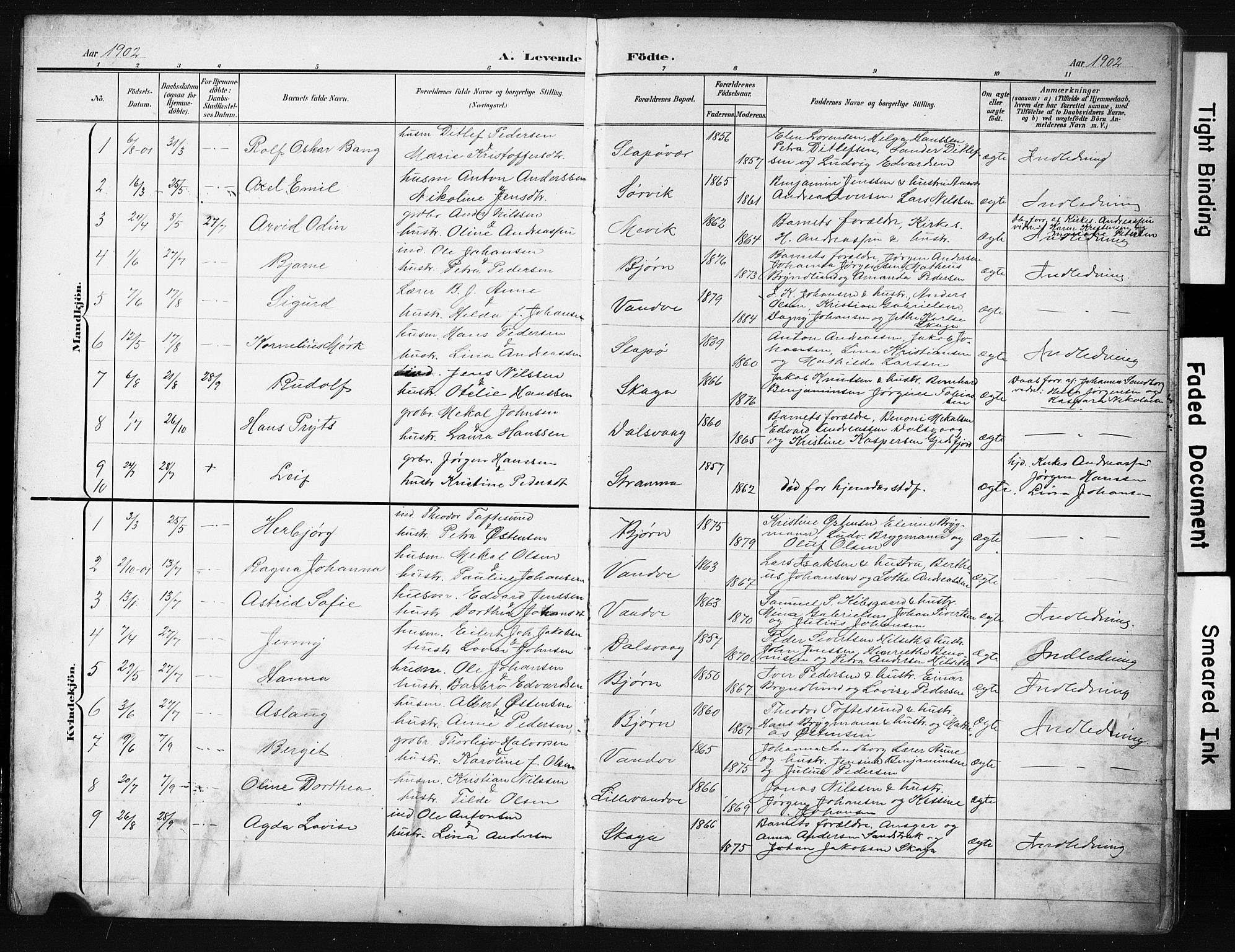 Ministerialprotokoller, klokkerbøker og fødselsregistre - Nordland, SAT/A-1459/836/L0538: Parish register (copy) no. 836C02, 1901-1917