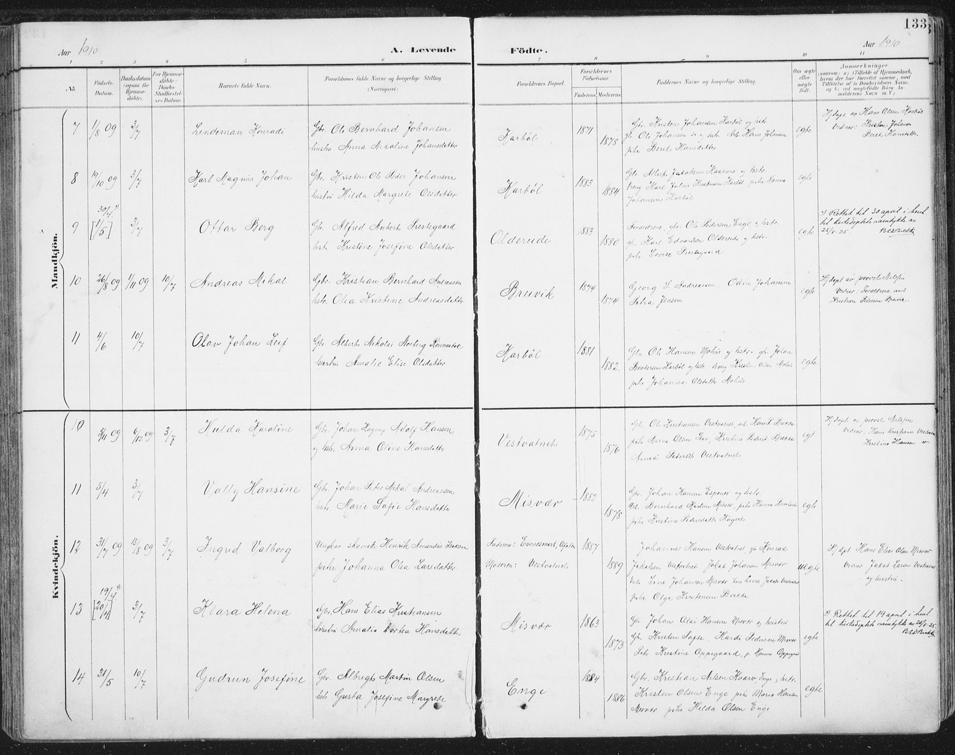 Ministerialprotokoller, klokkerbøker og fødselsregistre - Nordland, SAT/A-1459/852/L0741: Parish register (official) no. 852A11, 1894-1917, p. 133