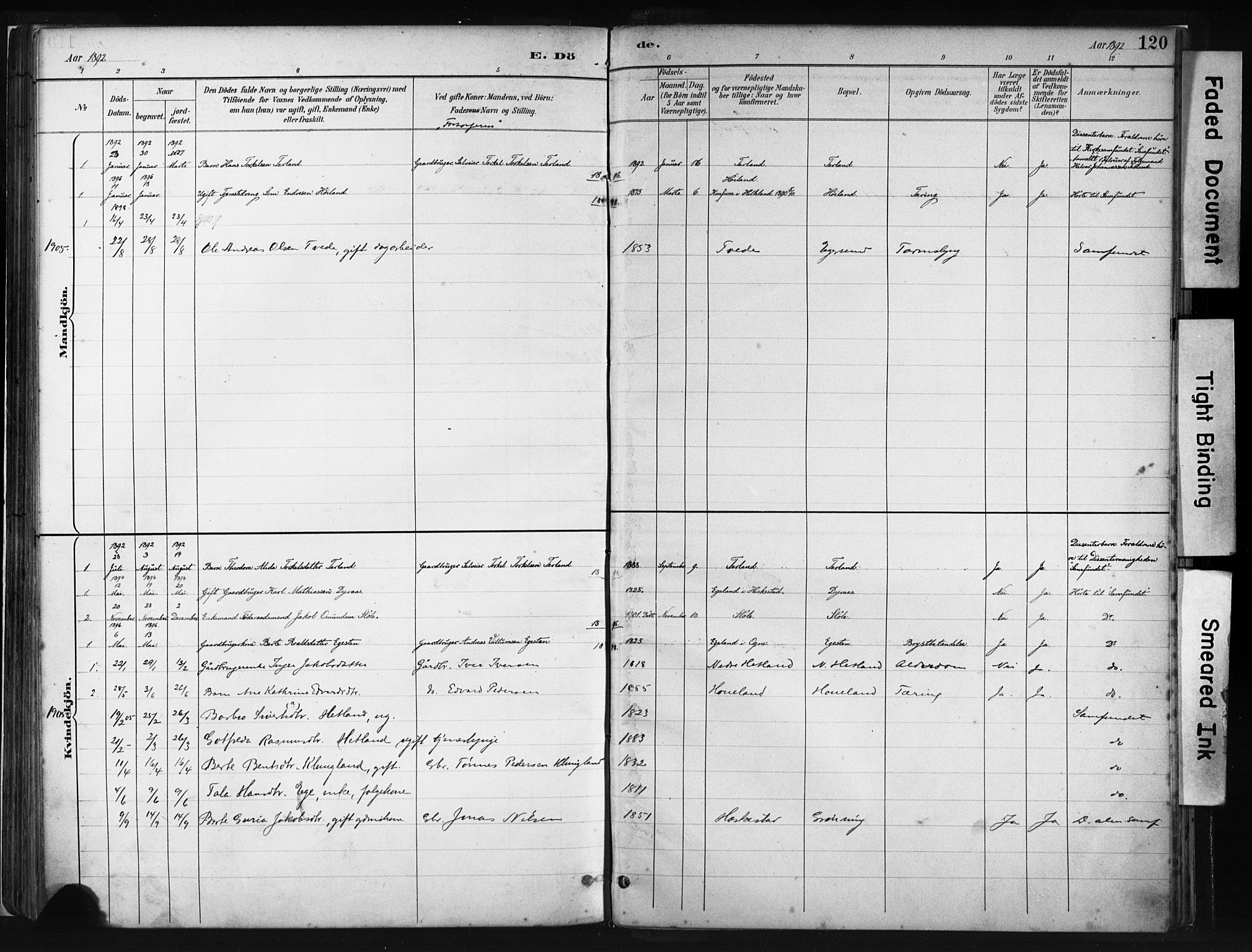 Helleland sokneprestkontor, SAST/A-101810: Parish register (official) no. A 8, 1887-1907, p. 120