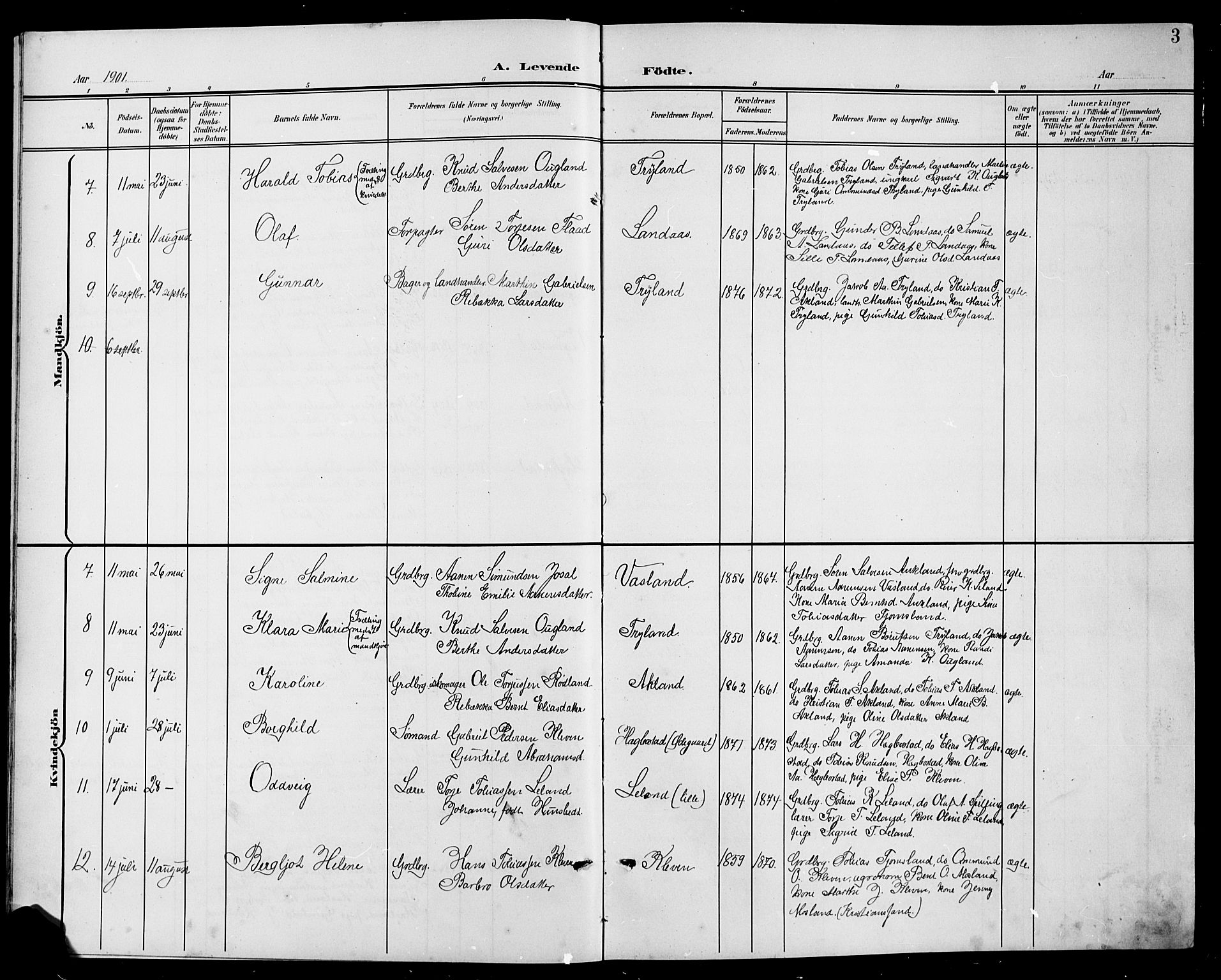Nord-Audnedal sokneprestkontor, SAK/1111-0032/F/Fb/Fbb/L0004: Parish register (copy) no. B 4, 1901-1917, p. 3