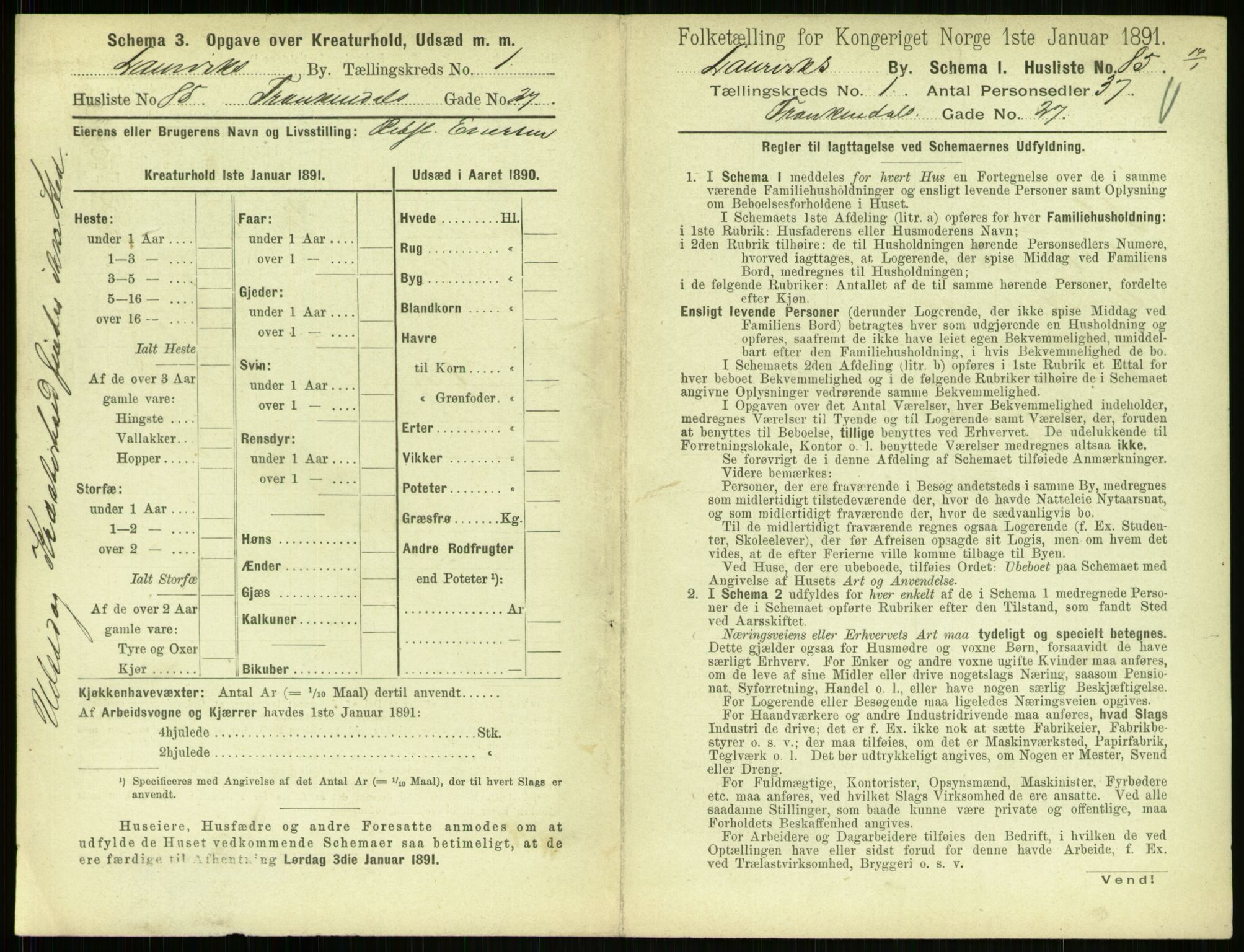 RA, 1891 census for 0707 Larvik, 1891, p. 213