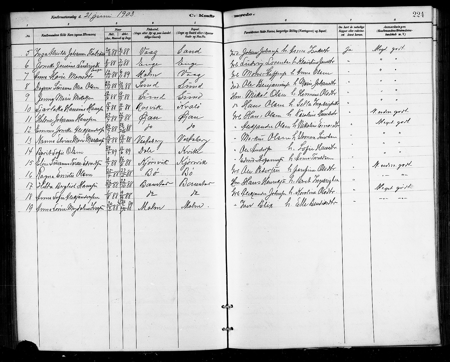 Ministerialprotokoller, klokkerbøker og fødselsregistre - Nordland, SAT/A-1459/812/L0188: Parish register (copy) no. 812C06, 1884-1912, p. 224