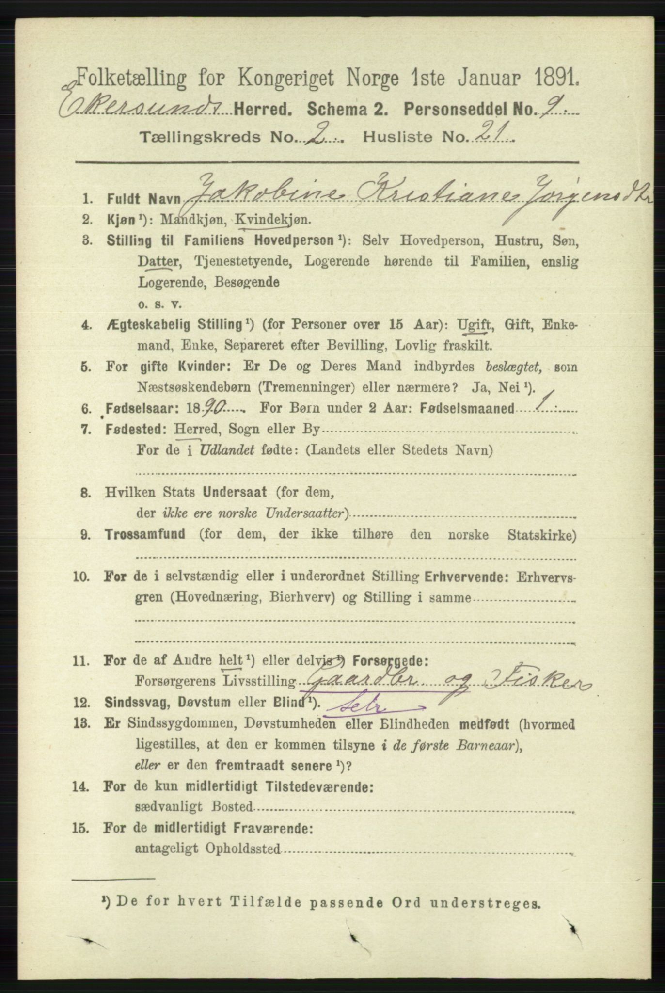 RA, 1891 census for 1116 Eigersund herred, 1891, p. 568