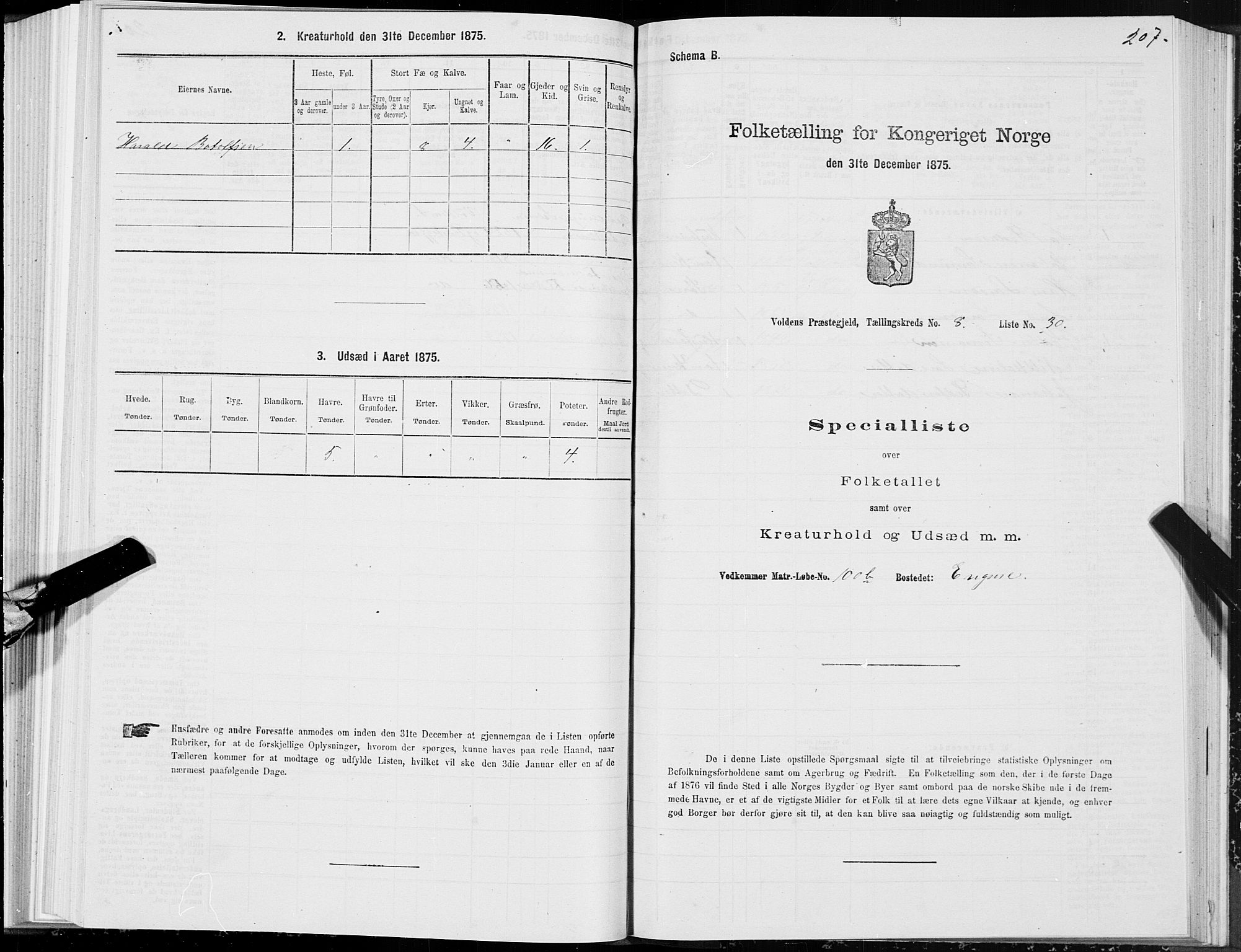 SAT, 1875 census for 1519P Volda, 1875, p. 5207