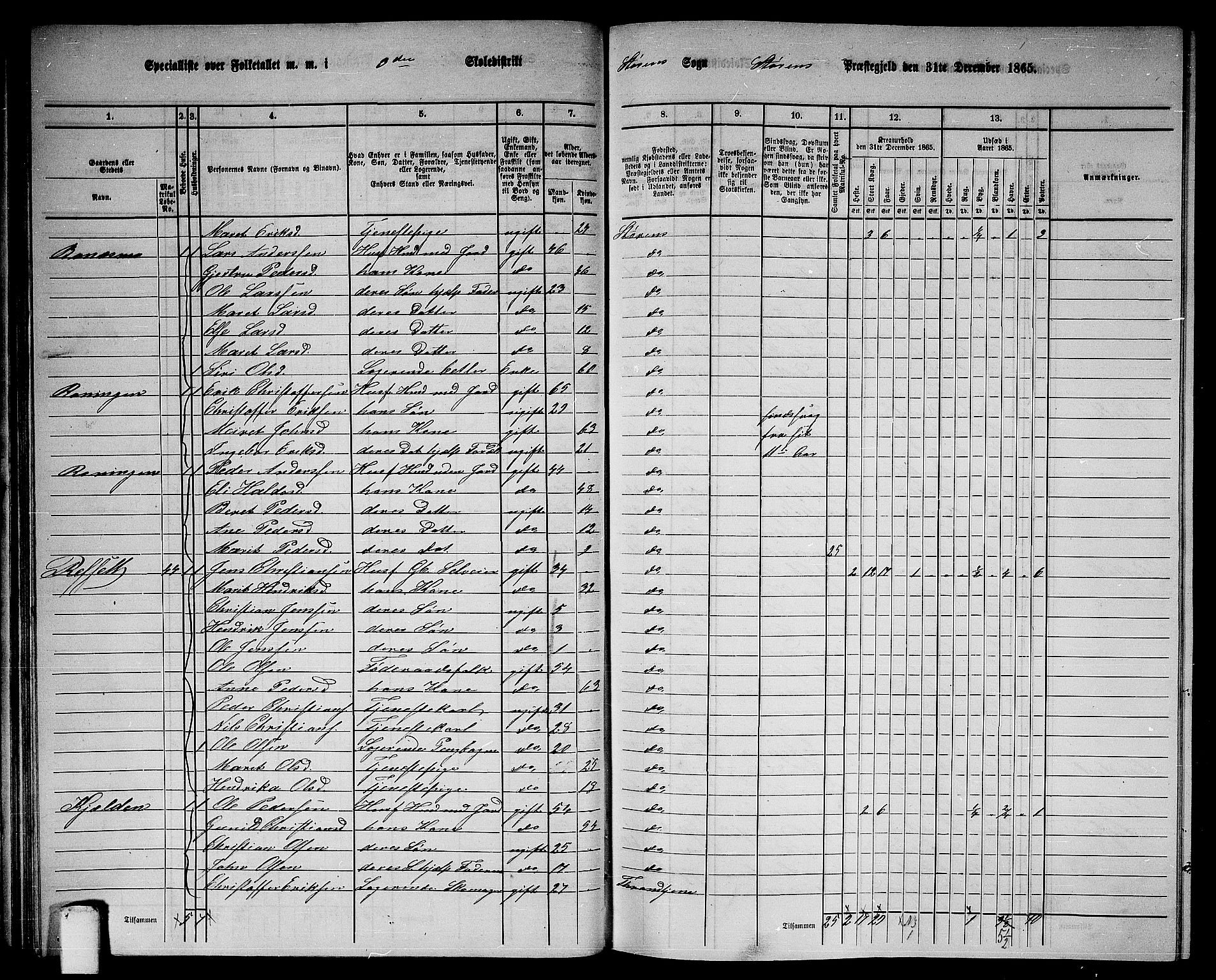 RA, 1865 census for Støren, 1865, p. 54