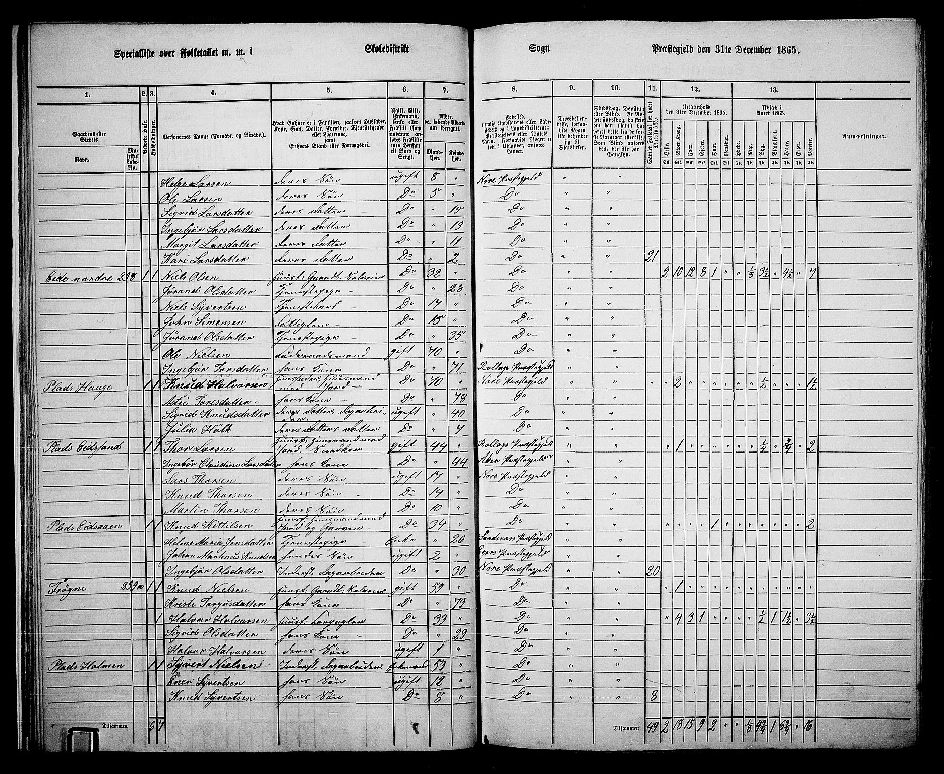 RA, 1865 census for Nore, 1865, p. 23