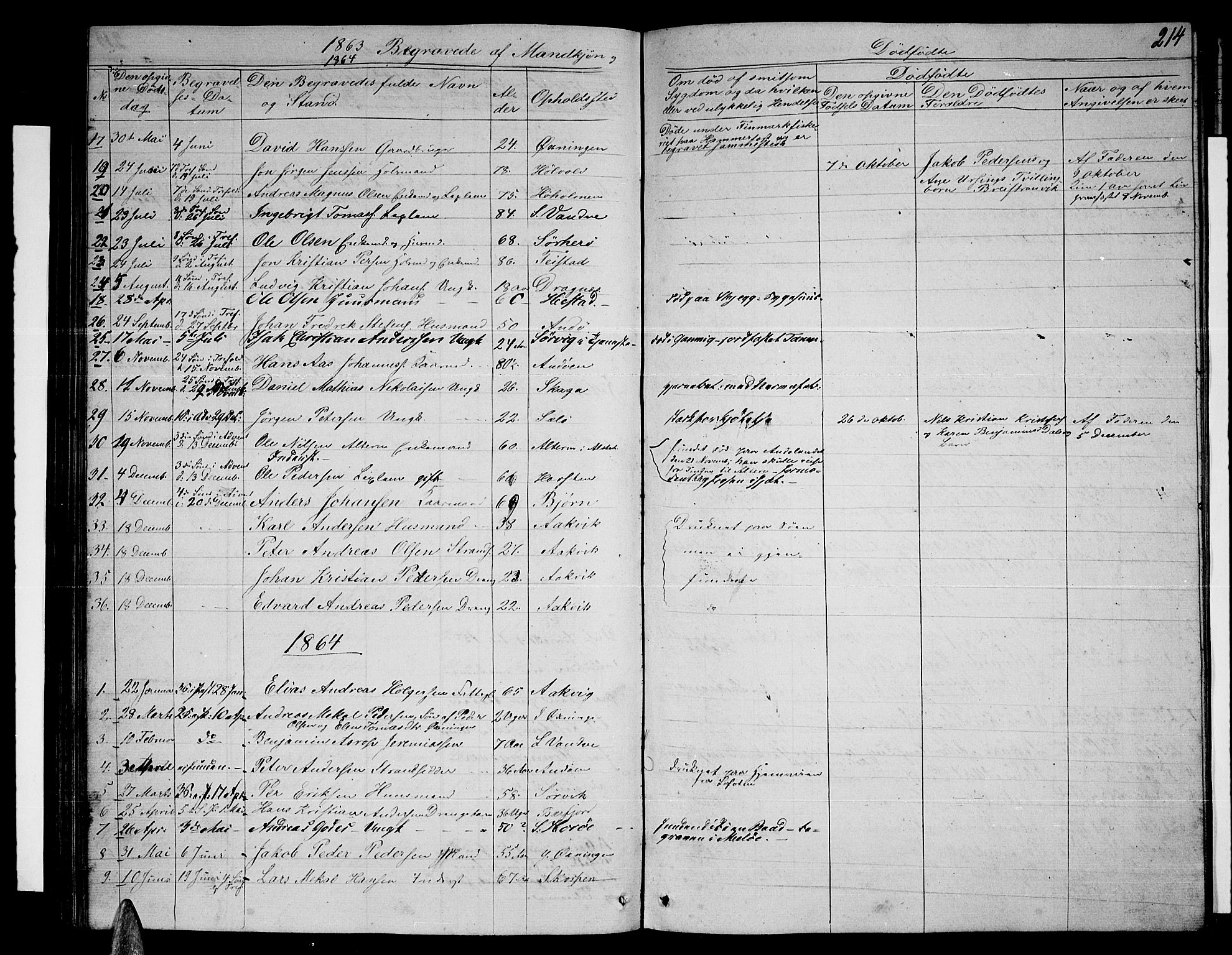 Ministerialprotokoller, klokkerbøker og fødselsregistre - Nordland, AV/SAT-A-1459/834/L0512: Parish register (copy) no. 834C03, 1862-1877, p. 214