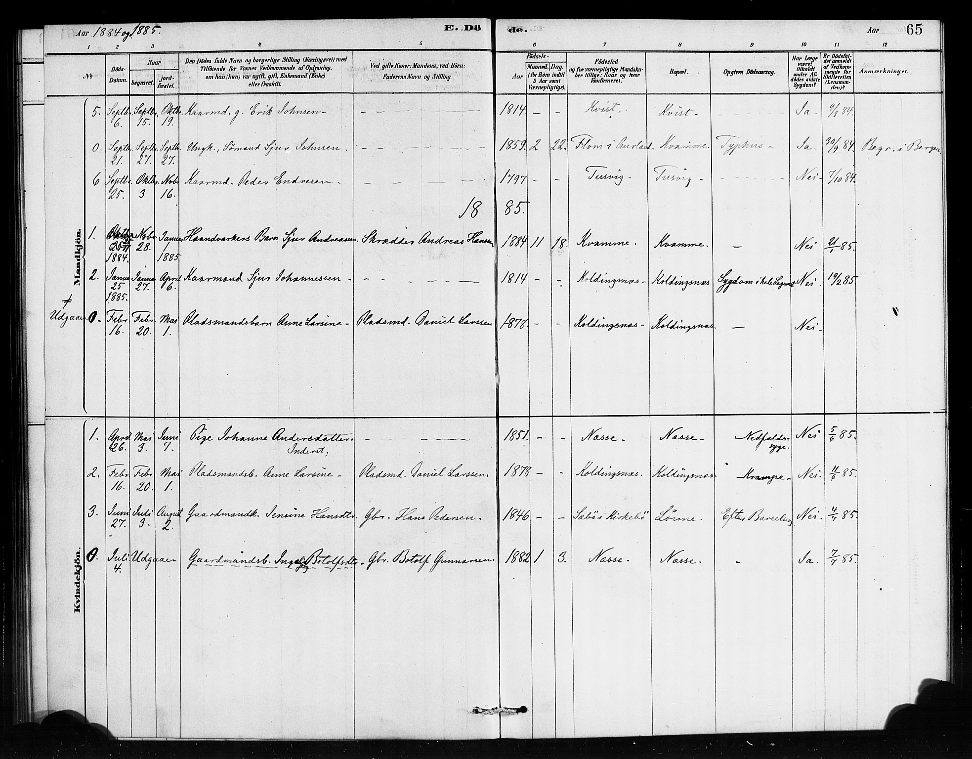 Vik sokneprestembete, AV/SAB-A-81501/H/Haa/Haad/L0001: Parish register (official) no. D 1, 1878-1890, p. 65