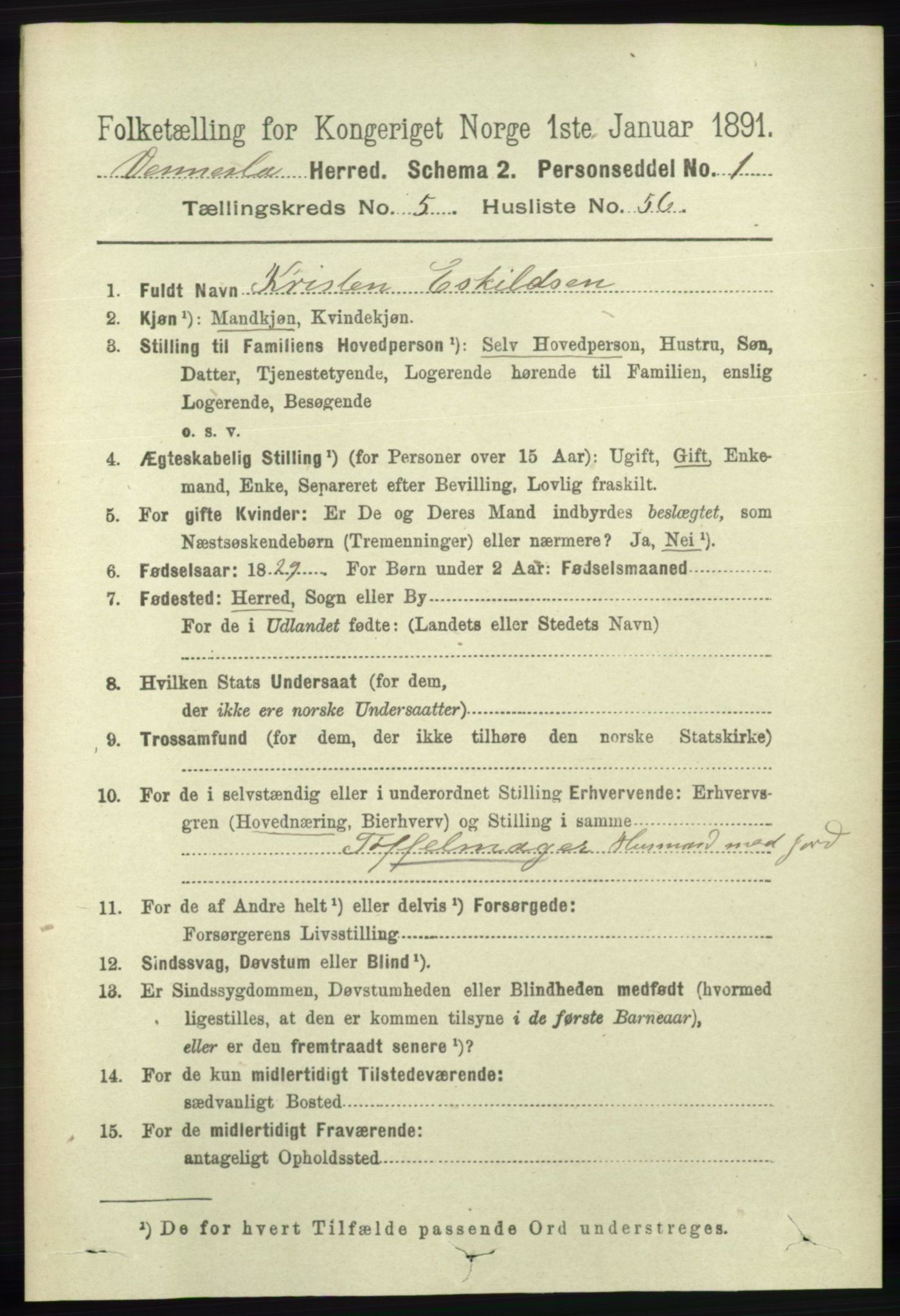 RA, 1891 census for 1014 Vennesla, 1891, p. 1544