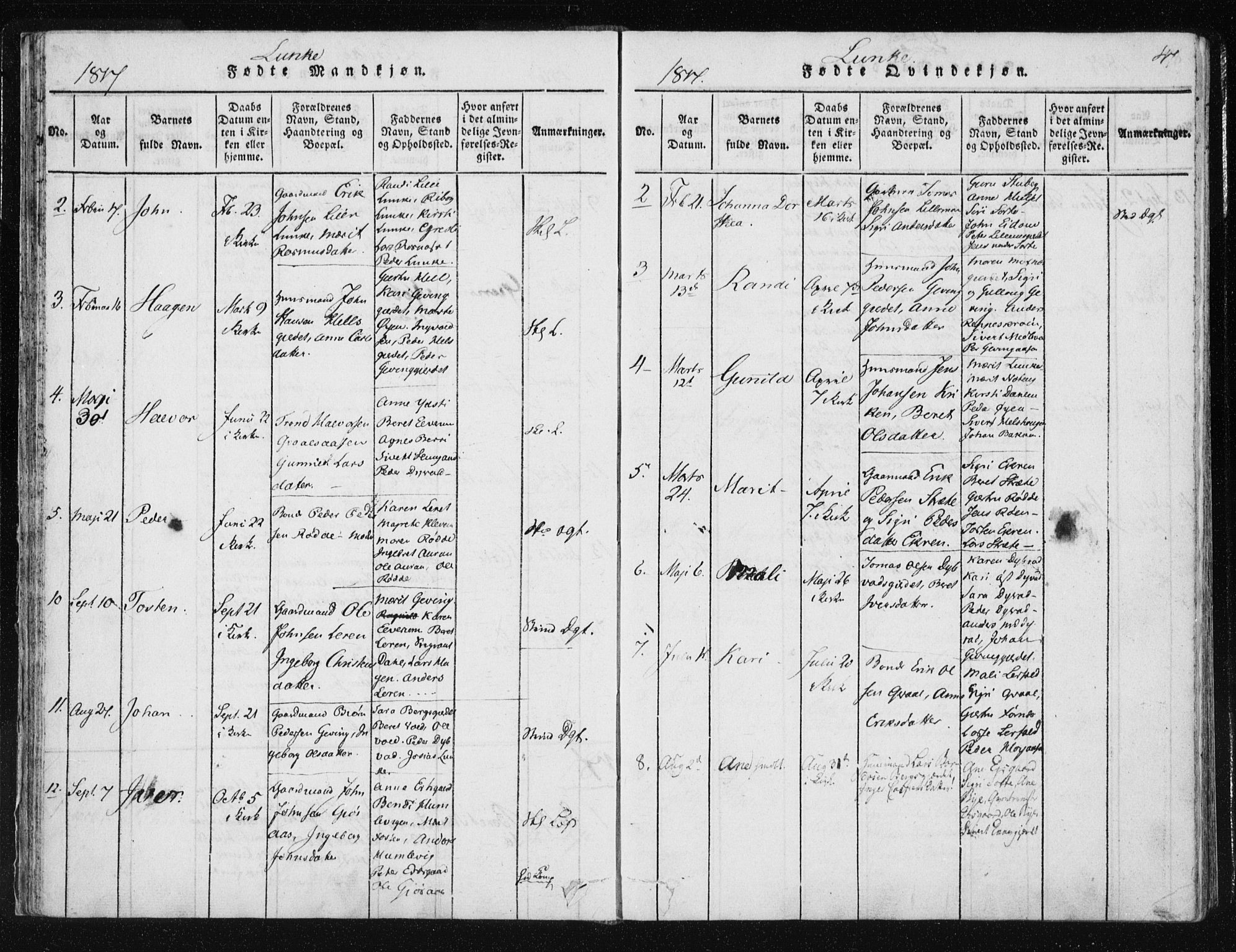 Ministerialprotokoller, klokkerbøker og fødselsregistre - Nord-Trøndelag, AV/SAT-A-1458/709/L0061: Parish register (official) no. 709A08 /3, 1815-1819, p. 47