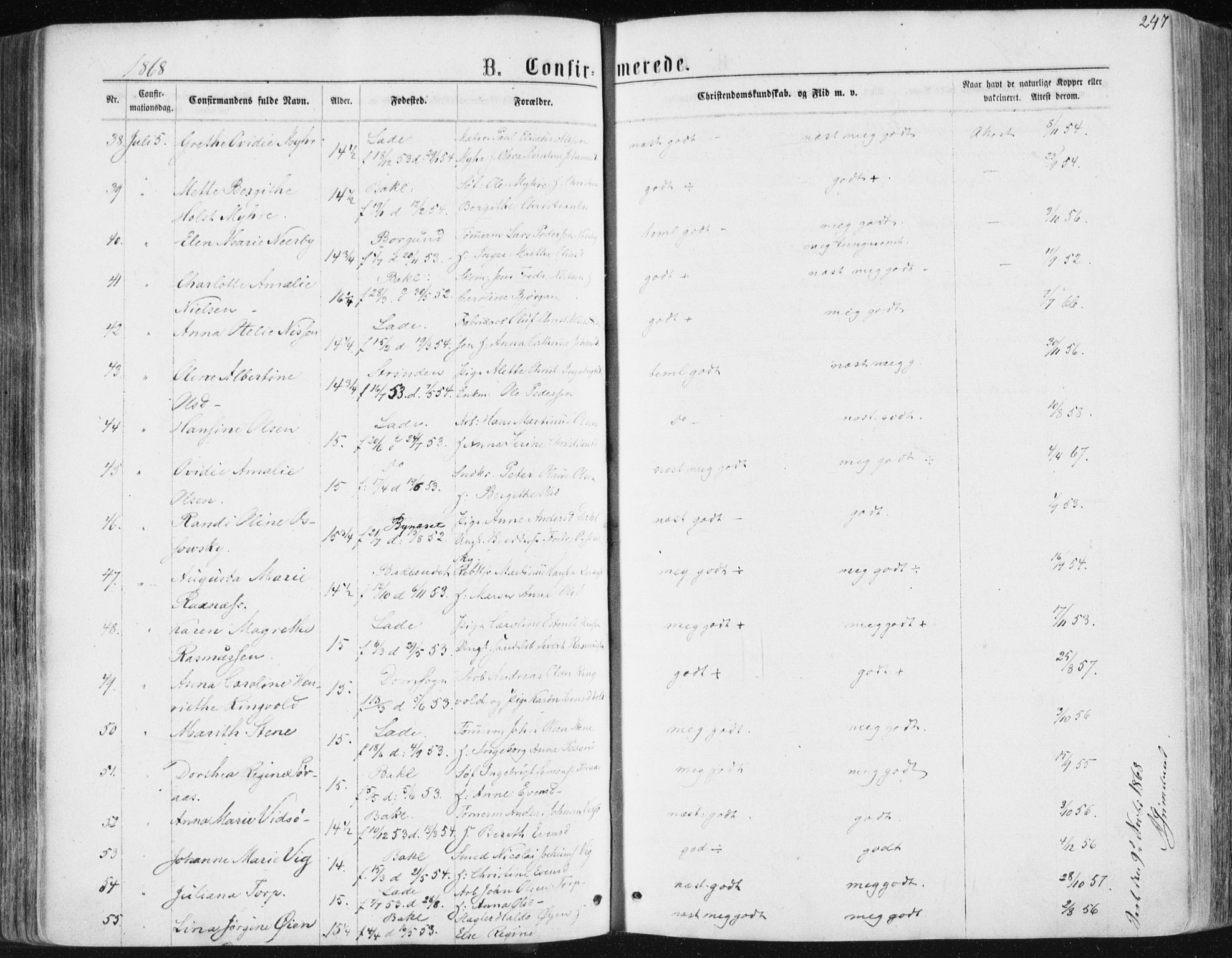 Ministerialprotokoller, klokkerbøker og fødselsregistre - Sør-Trøndelag, AV/SAT-A-1456/604/L0186: Parish register (official) no. 604A07, 1866-1877, p. 247