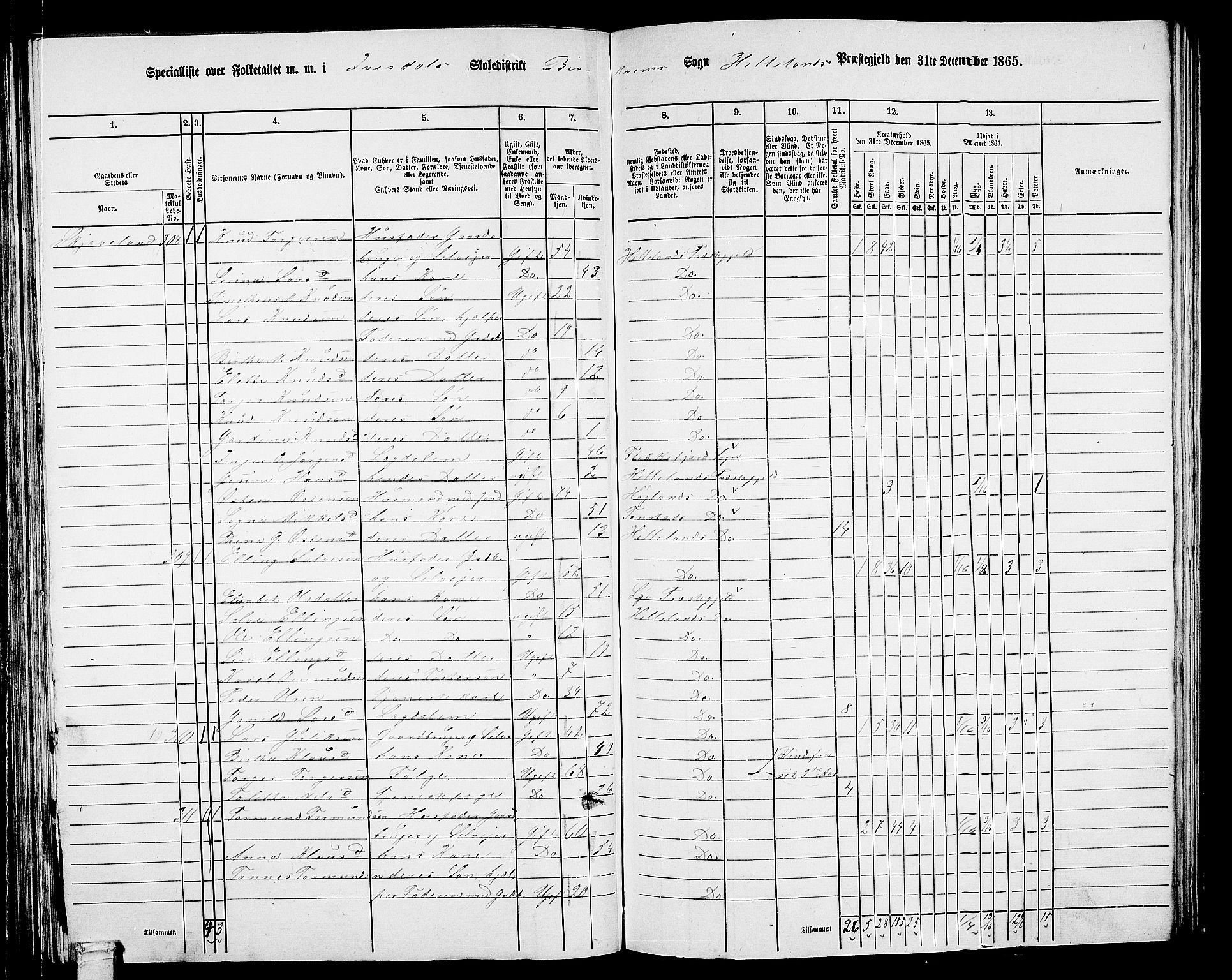 RA, 1865 census for Helleland, 1865, p. 100