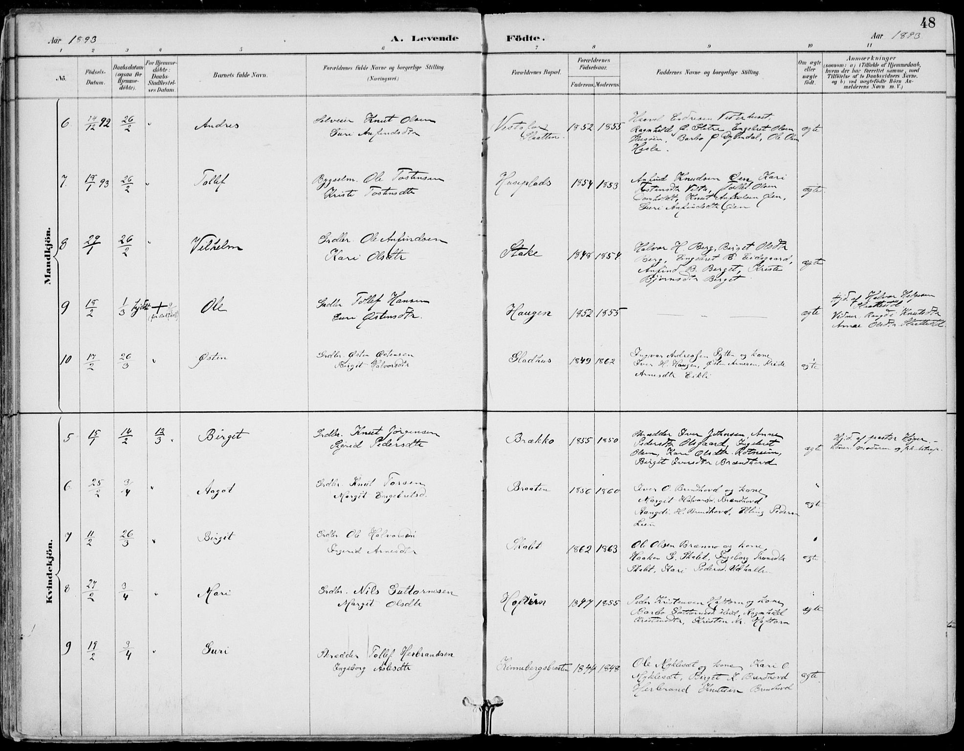 Gol kirkebøker, AV/SAKO-A-226/F/Fa/L0005: Parish register (official) no. I 5, 1887-1900, p. 48