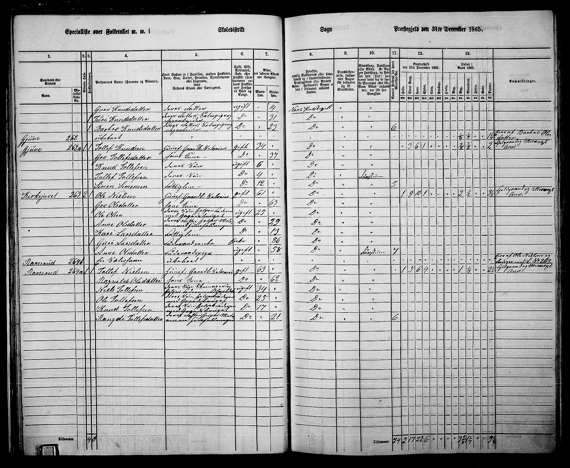 RA, 1865 census for Nore, 1865, p. 27