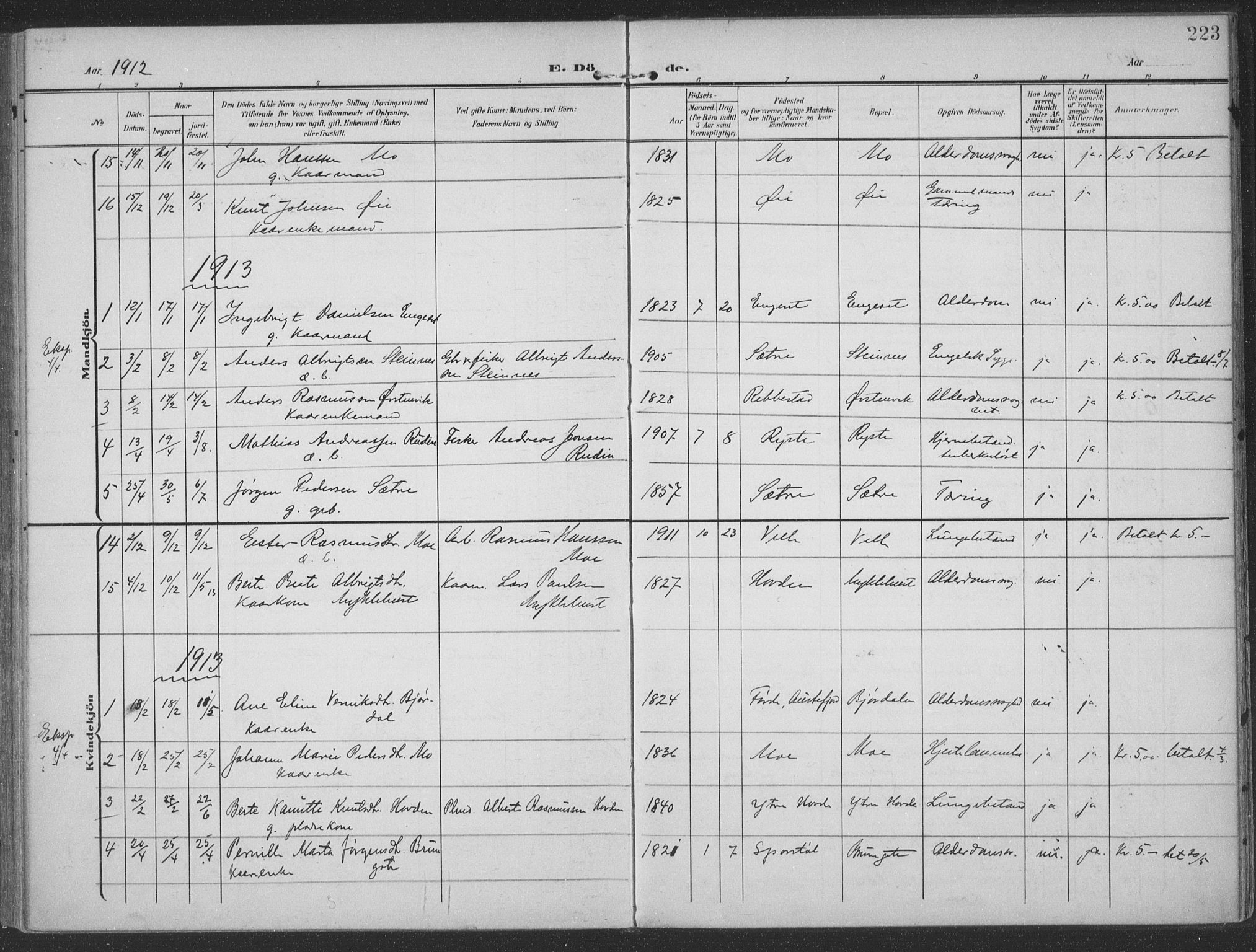 Ministerialprotokoller, klokkerbøker og fødselsregistre - Møre og Romsdal, SAT/A-1454/513/L0178: Parish register (official) no. 513A05, 1906-1919, p. 223