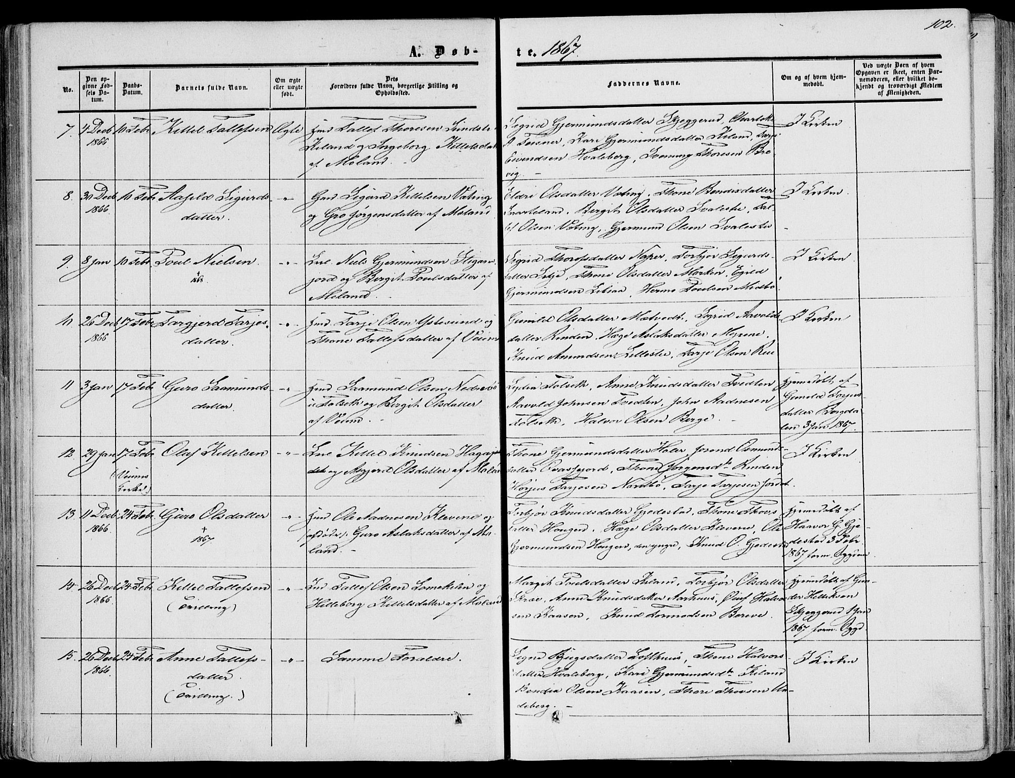 Fyresdal kirkebøker, SAKO/A-263/F/Fa/L0005: Parish register (official) no. I 5, 1855-1871, p. 102
