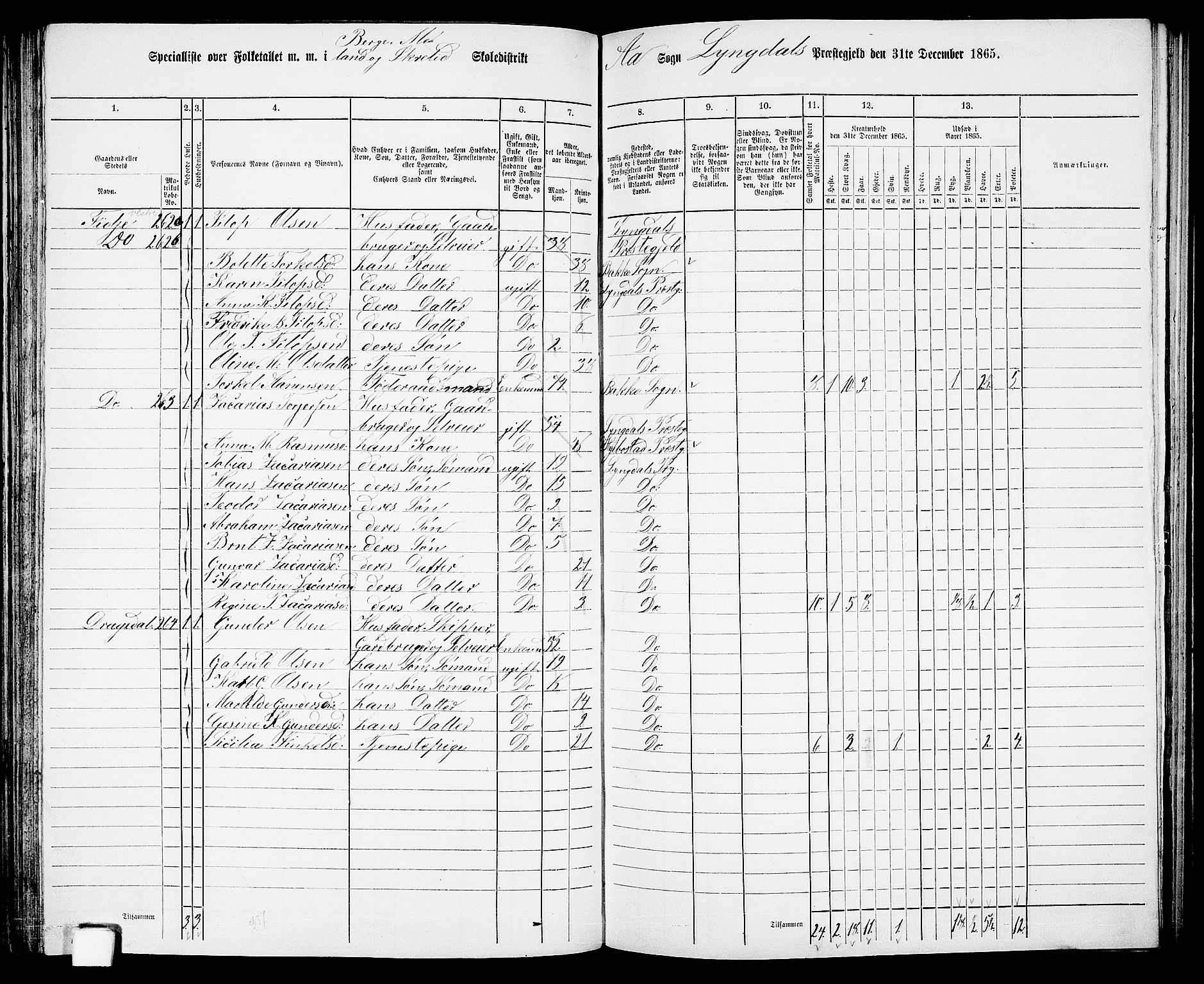 RA, 1865 census for Lyngdal, 1865, p. 124