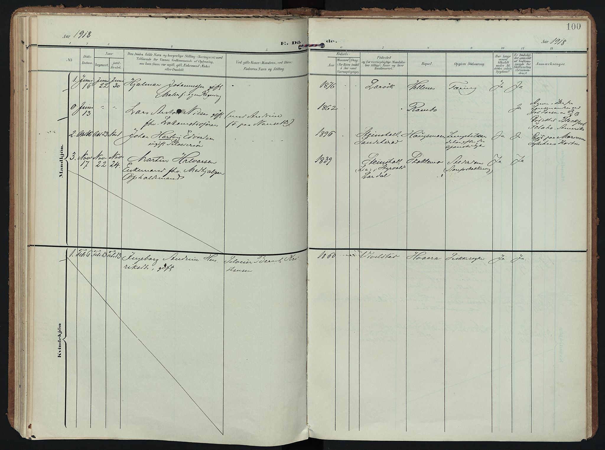 Hedrum kirkebøker, SAKO/A-344/F/Fc/L0002: Parish register (official) no. III 2, 1907-1930, p. 100