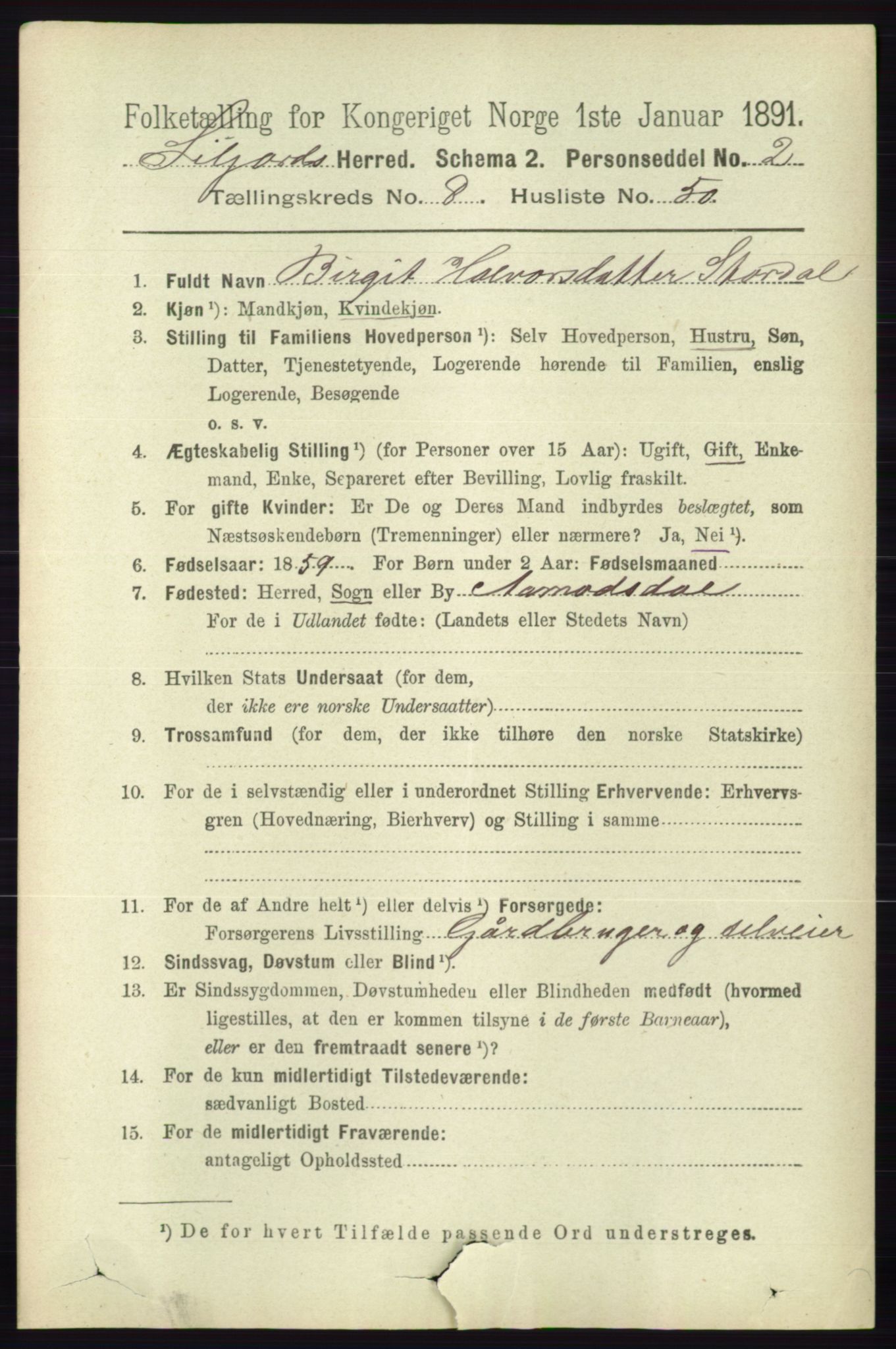 RA, 1891 census for 0828 Seljord, 1891, p. 3118