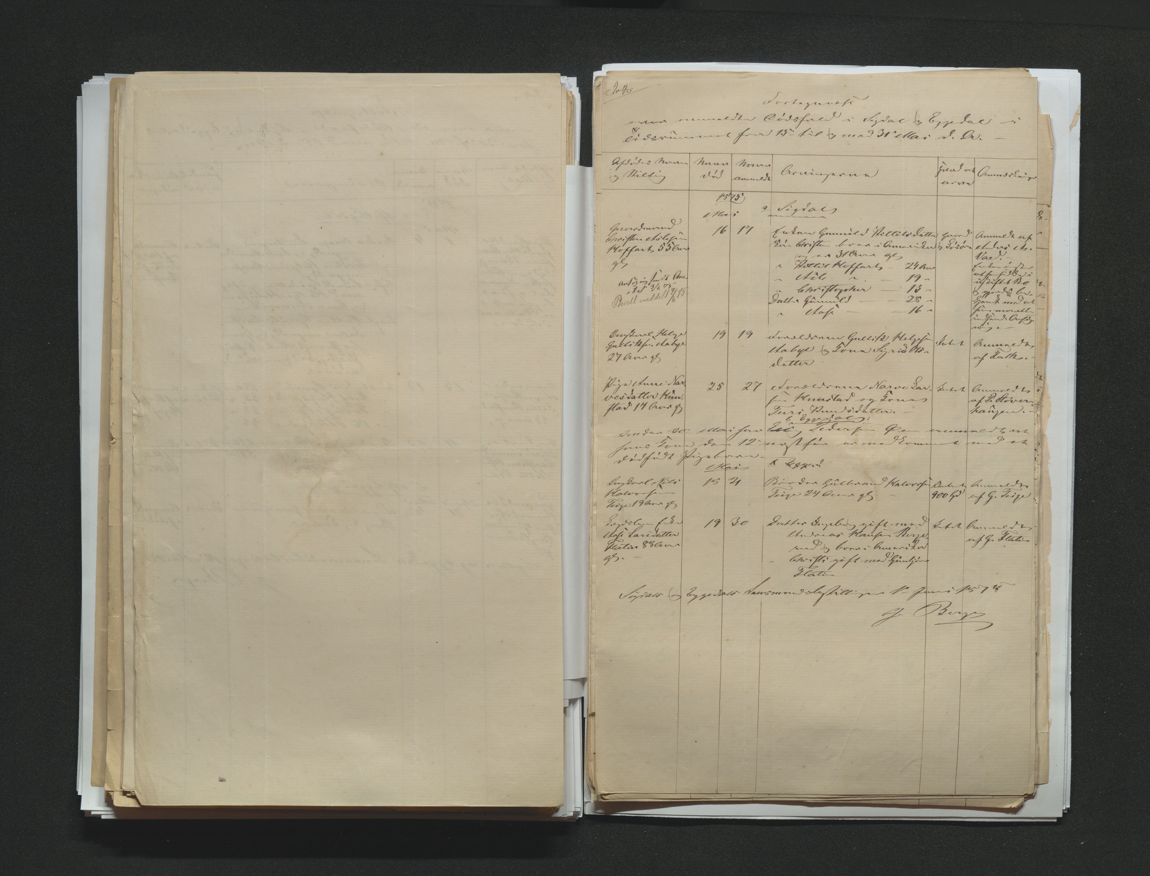 Eiker, Modum og Sigdal sorenskriveri, AV/SAKO-A-123/H/Ha/Hab/L0014: Dødsfallsmeldinger, 1874-1877, p. 293