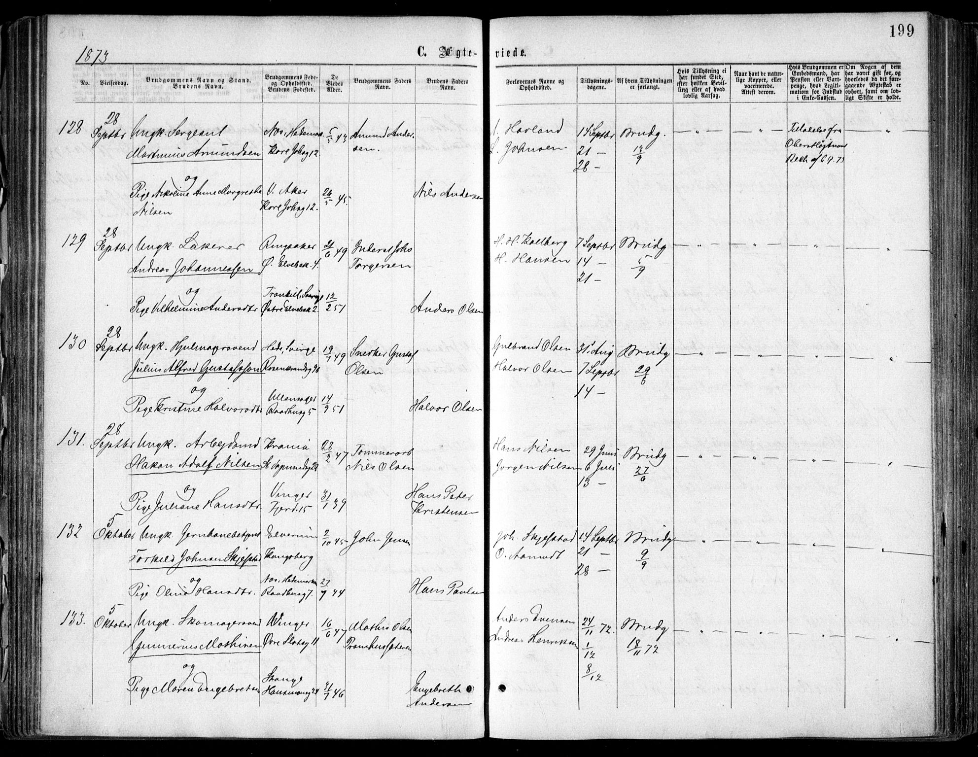 Oslo domkirke Kirkebøker, SAO/A-10752/F/Fa/L0021: Parish register (official) no. 21, 1865-1884, p. 199