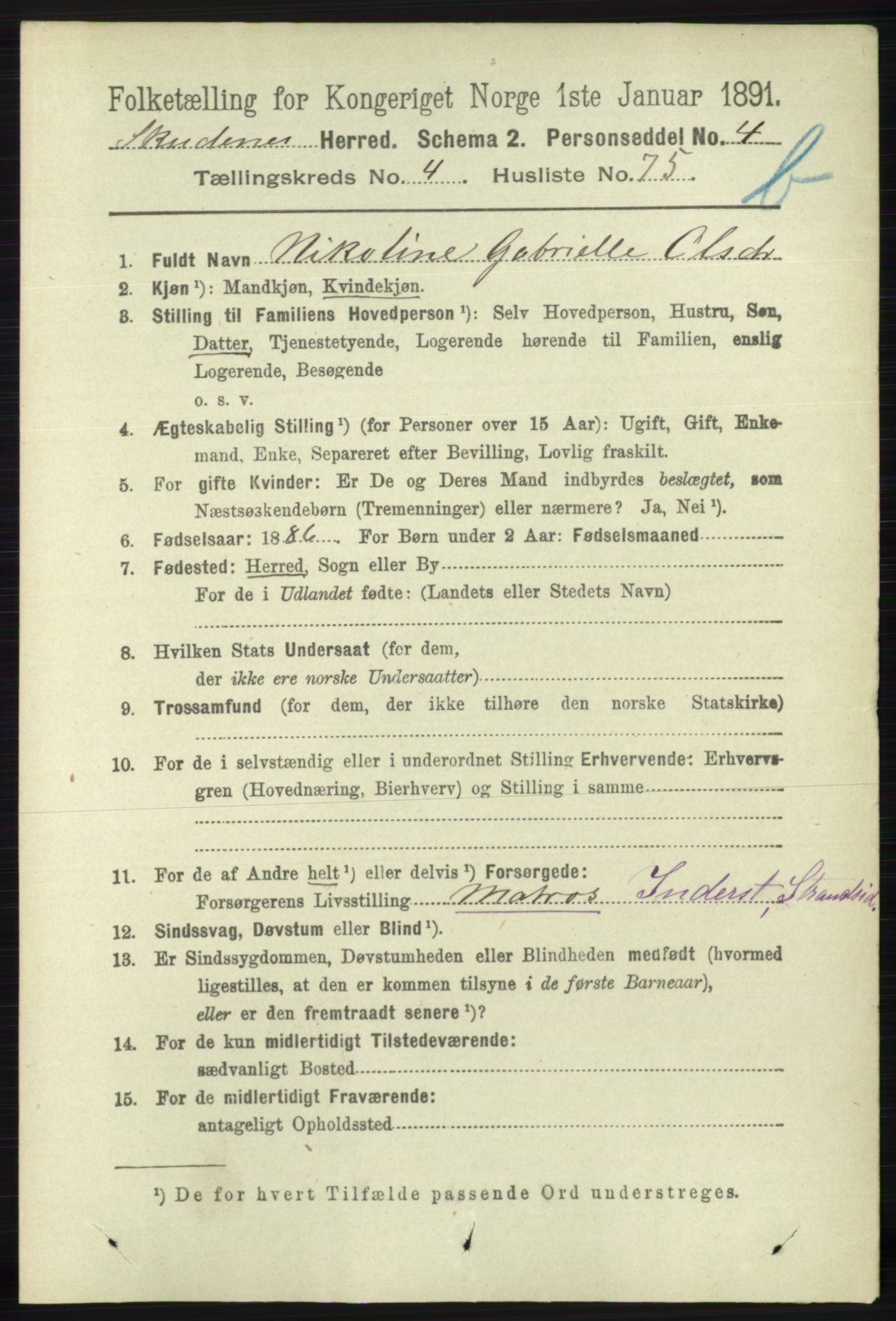 RA, 1891 census for 1150 Skudenes, 1891, p. 4949