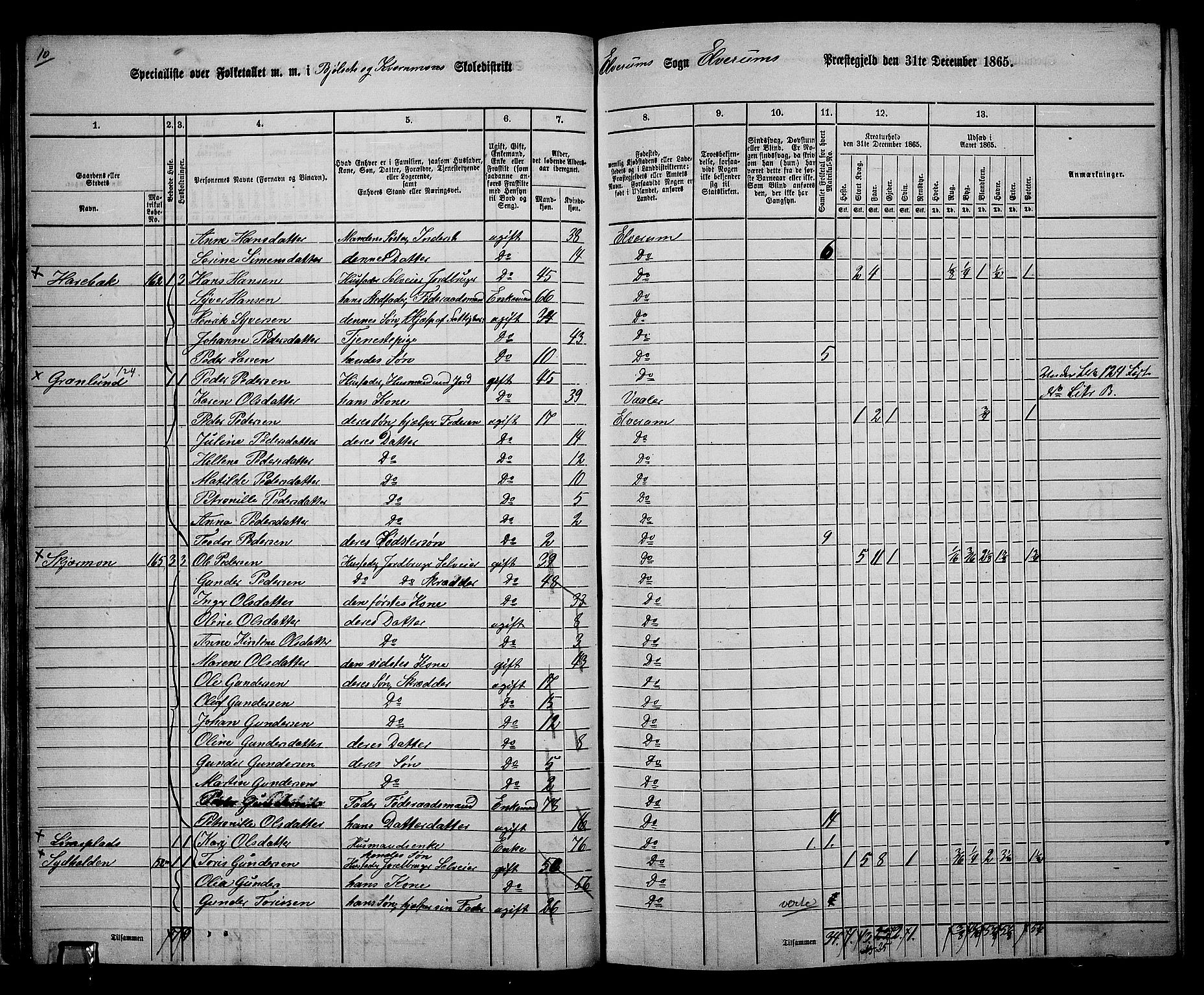 RA, 1865 census for Elverum, 1865, p. 34