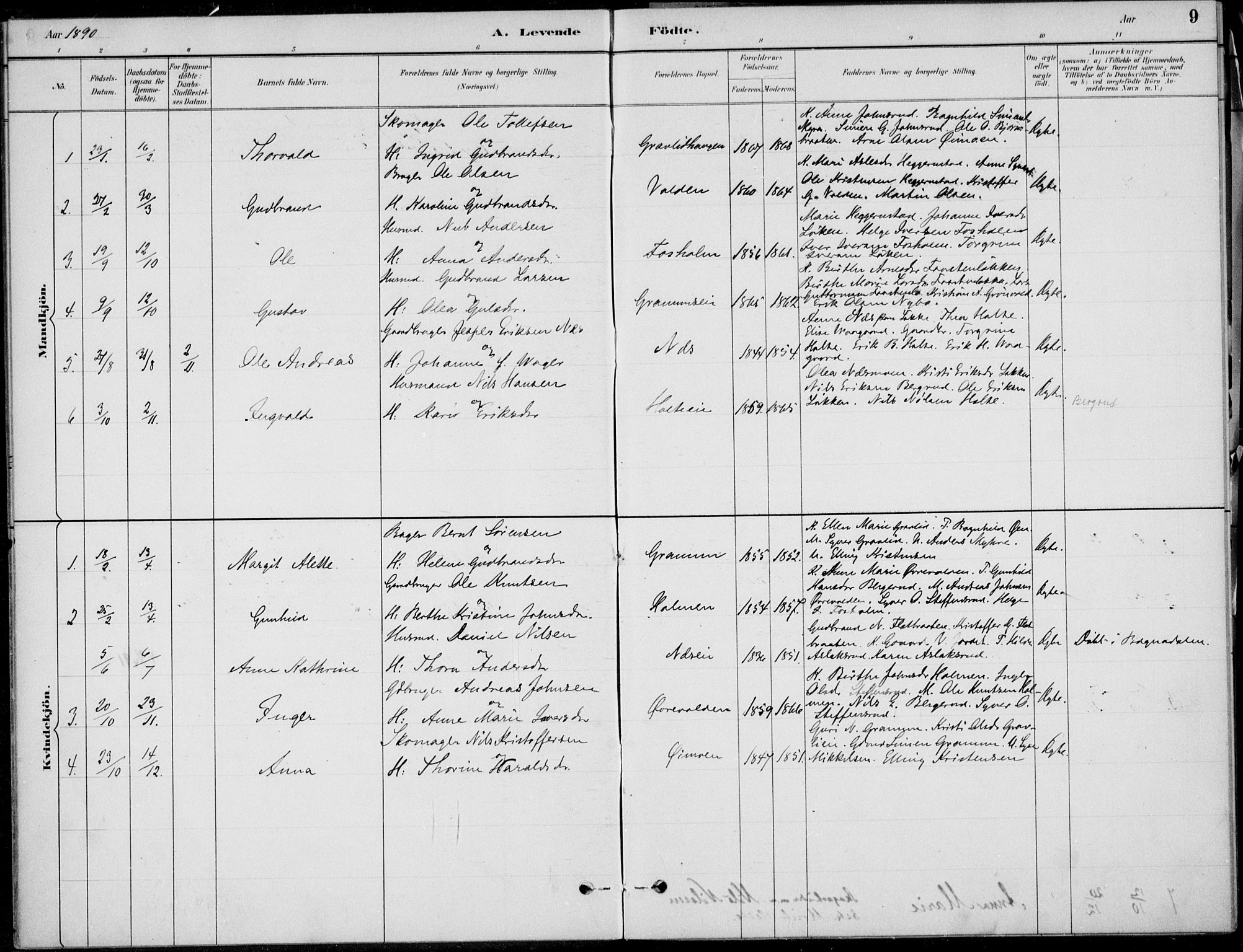 Ådal kirkebøker, AV/SAKO-A-248/F/Fa/L0004: Parish register (official) no. I 4, 1884-1904, p. 9