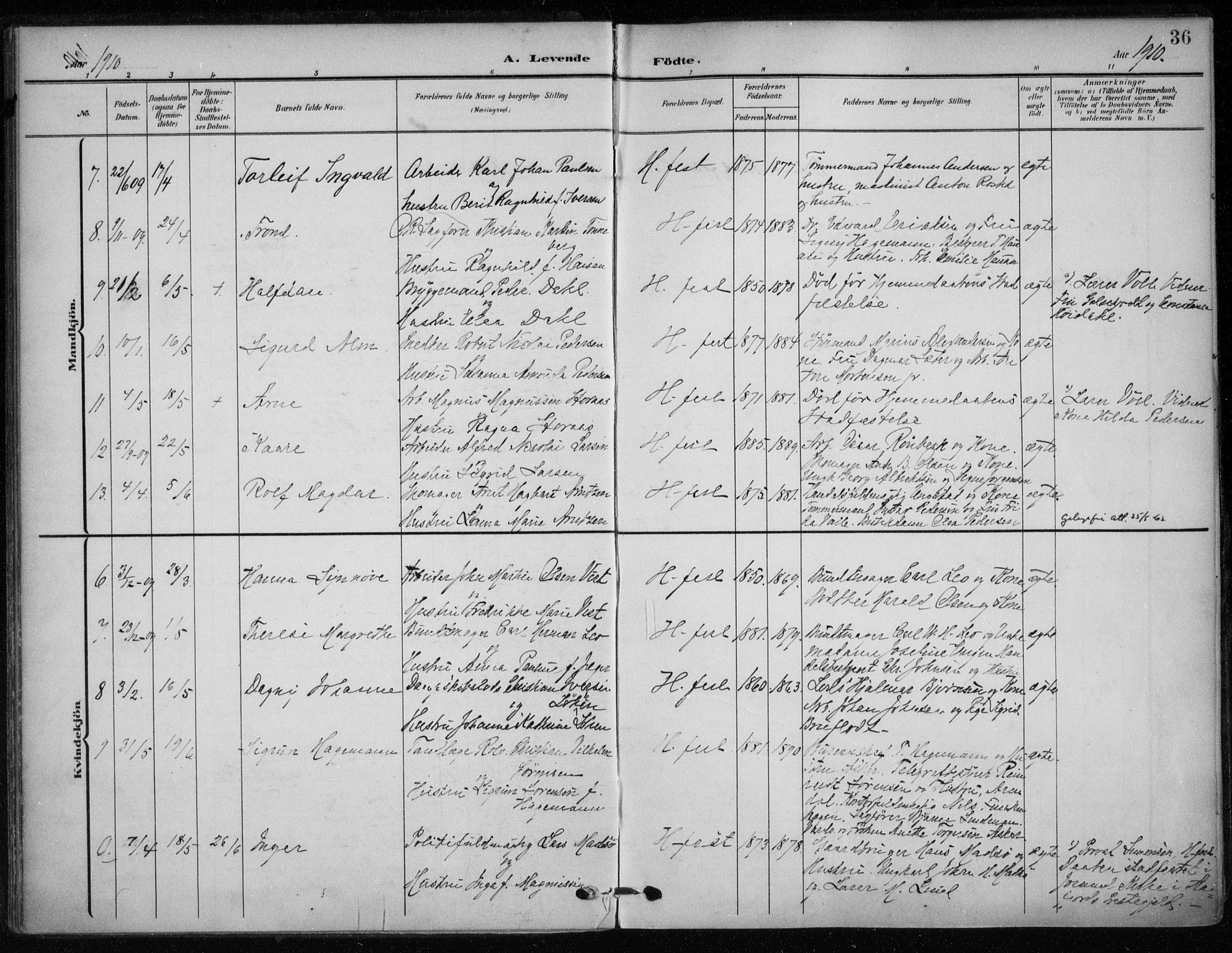Hammerfest sokneprestkontor, SATØ/S-1347/H/Ha/L0014.kirke: Parish register (official) no. 14, 1906-1916, p. 36