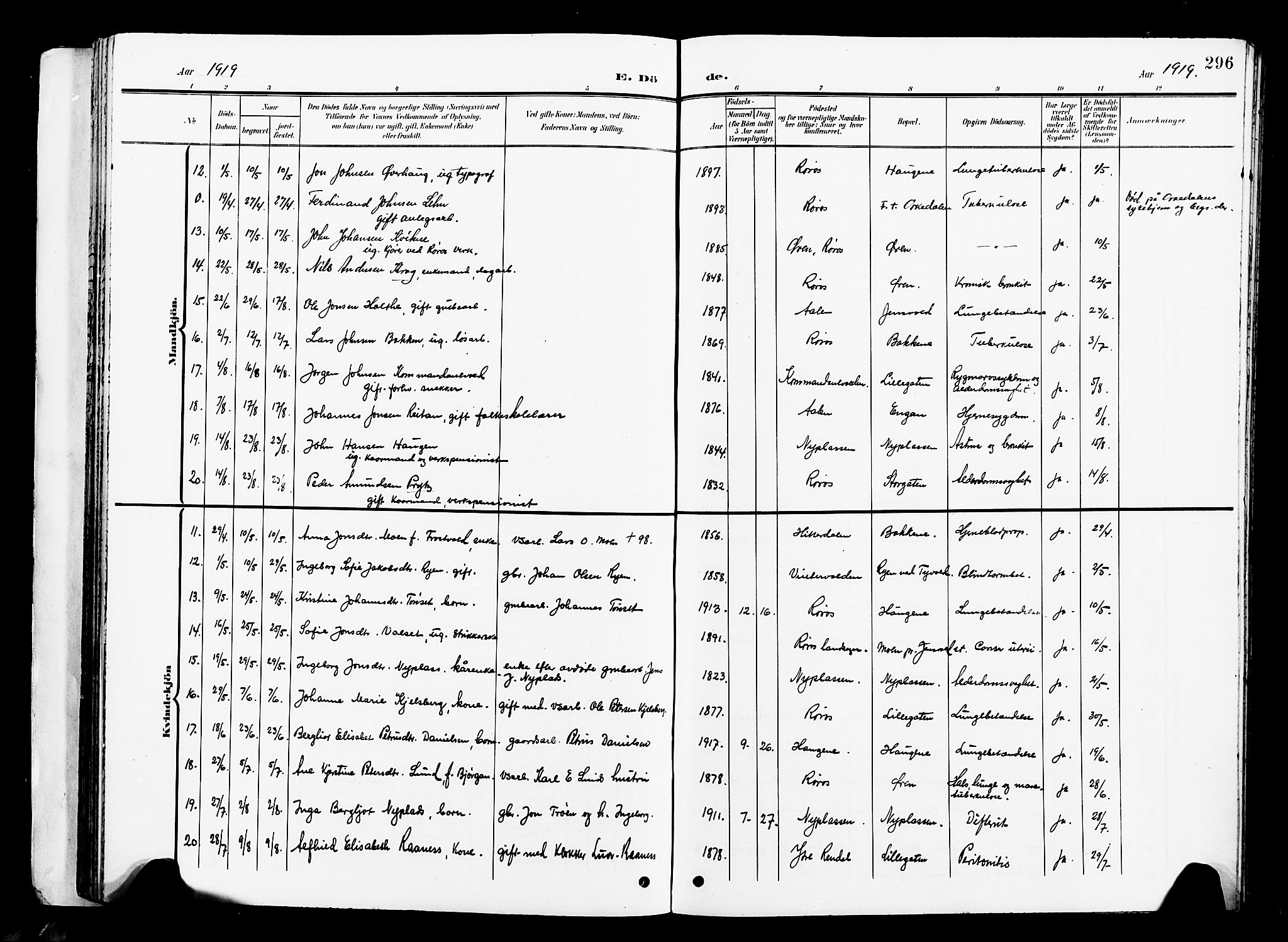 Ministerialprotokoller, klokkerbøker og fødselsregistre - Sør-Trøndelag, AV/SAT-A-1456/681/L0942: Parish register (copy) no. 681C06, 1906-1925, p. 296