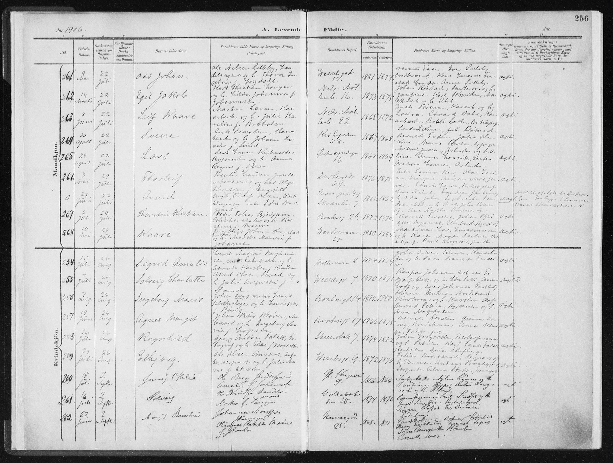 Ministerialprotokoller, klokkerbøker og fødselsregistre - Sør-Trøndelag, AV/SAT-A-1456/604/L0200: Parish register (official) no. 604A20II, 1901-1908, p. 256