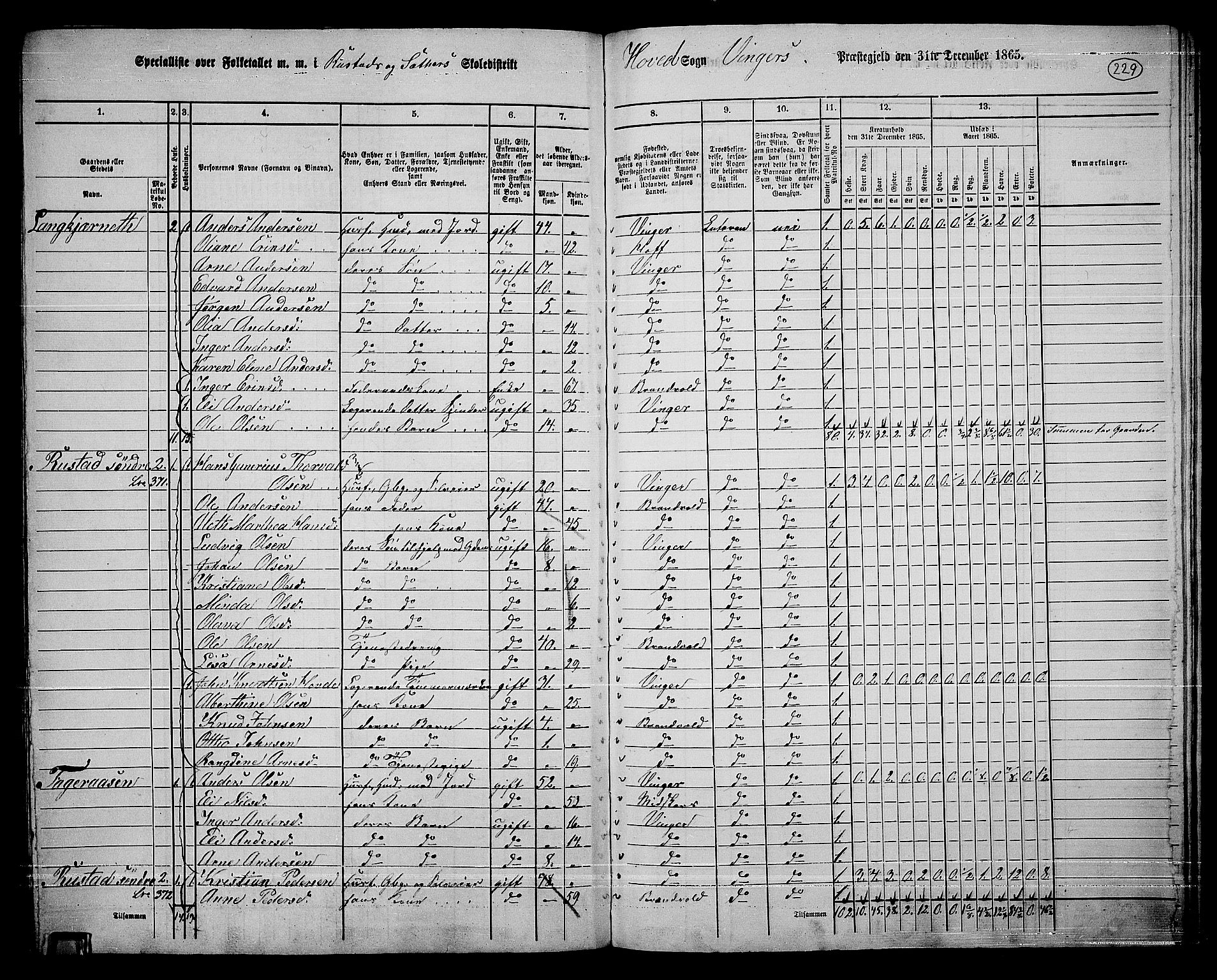 RA, 1865 census for Vinger/Vinger og Austmarka, 1865, p. 209