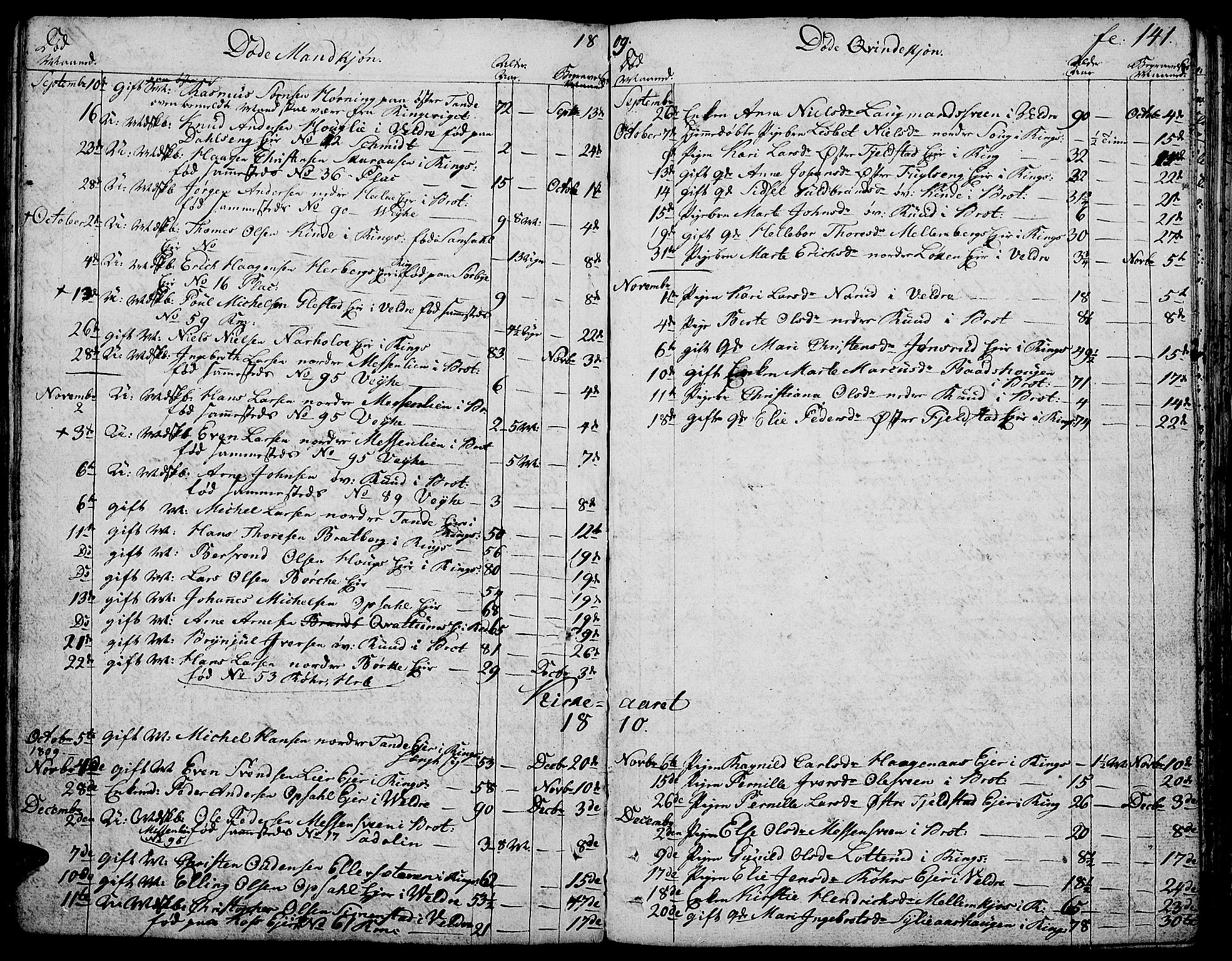 Ringsaker prestekontor, AV/SAH-PREST-014/K/Ka/L0004: Parish register (official) no. 4, 1799-1814, p. 141