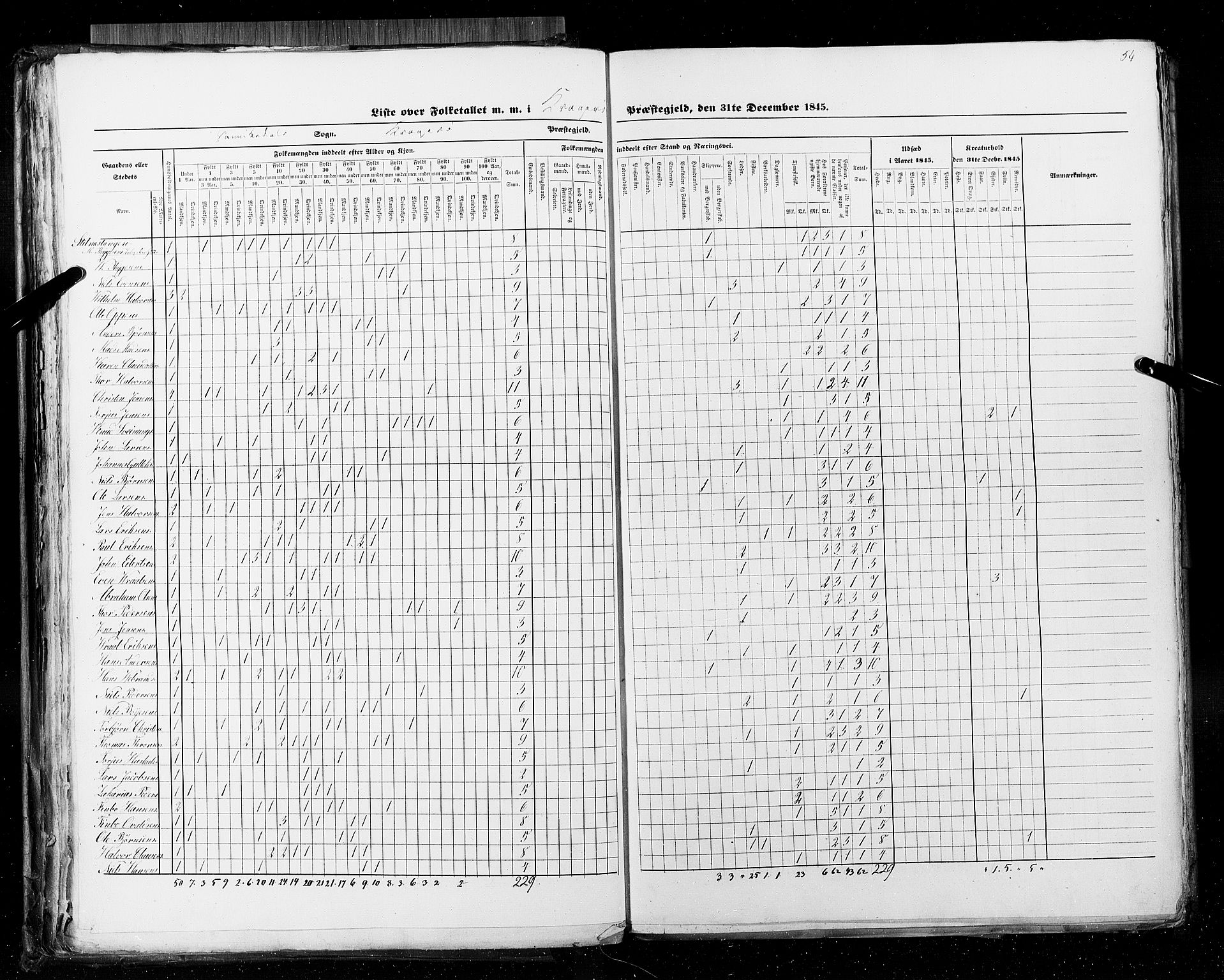 RA, Census 1845, vol. 5: Bratsberg amt og Nedenes og Råbyggelaget amt, 1845, p. 54