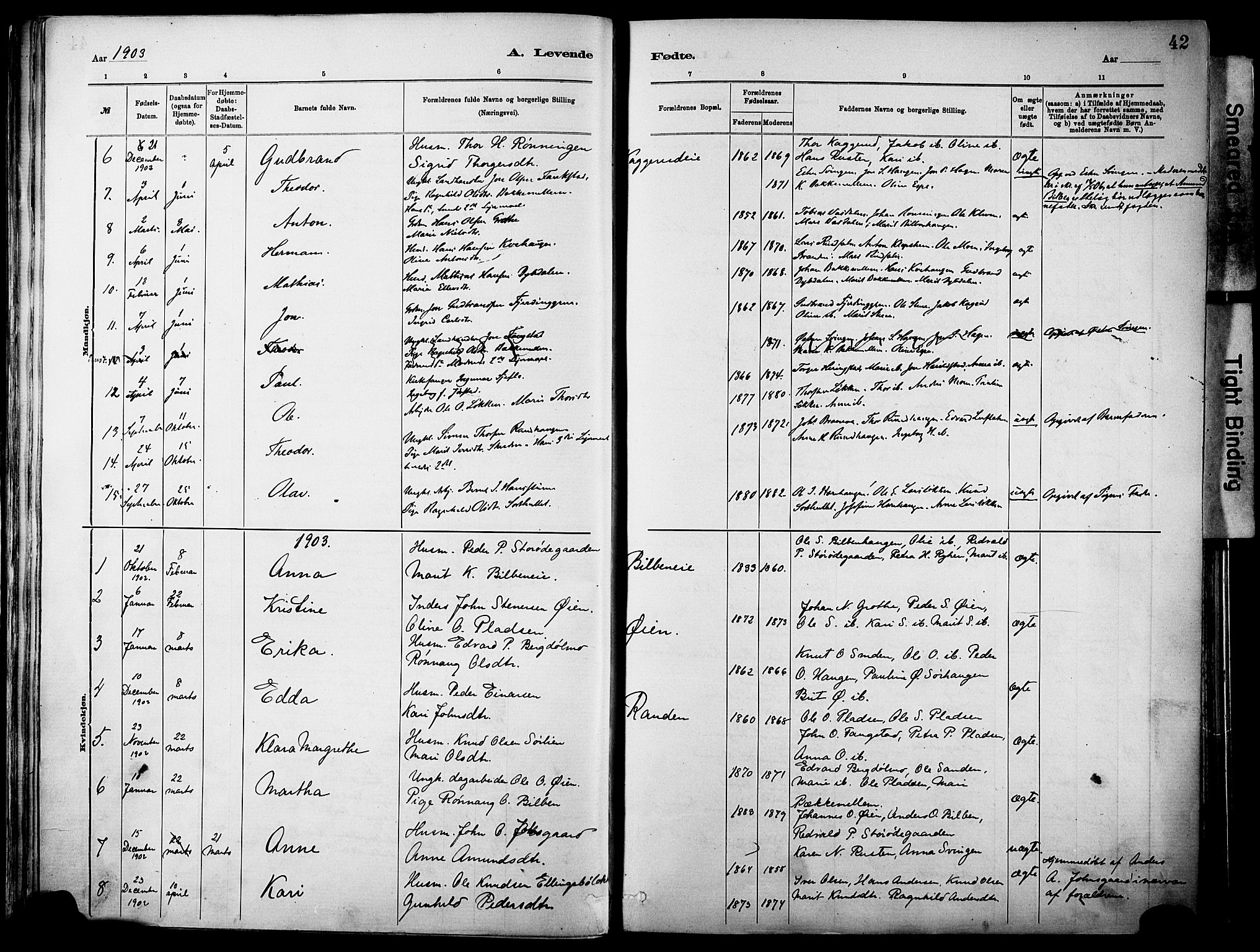 Vågå prestekontor, SAH/PREST-076/H/Ha/Haa/L0010: Parish register (official) no. 10, 1887-1904, p. 42