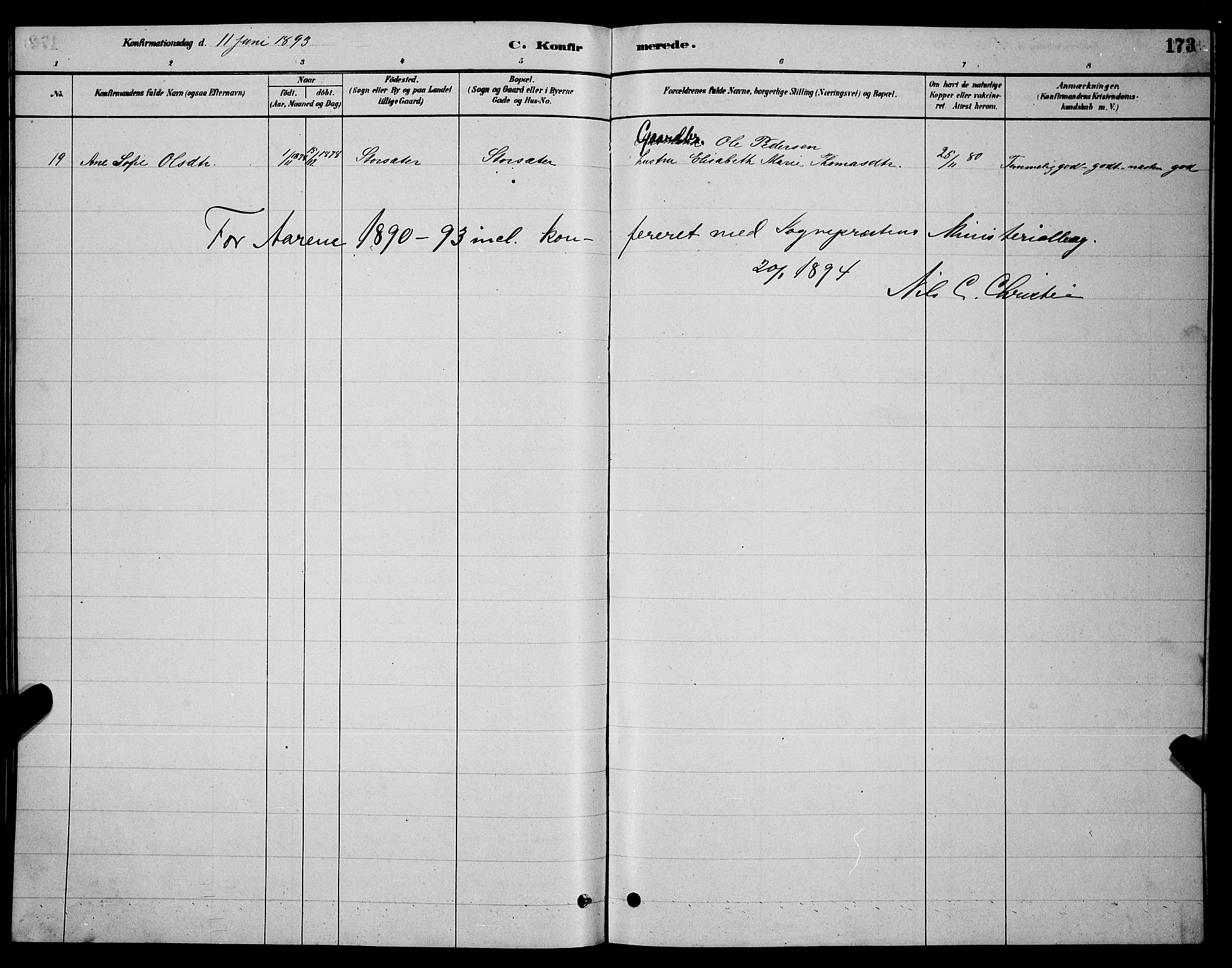 Ministerialprotokoller, klokkerbøker og fødselsregistre - Nordland, AV/SAT-A-1459/855/L0816: Parish register (copy) no. 855C05, 1879-1894, p. 173