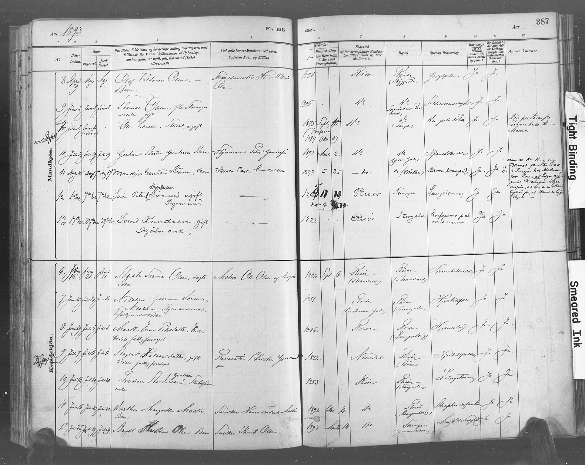 Risør sokneprestkontor, AV/SAK-1111-0035/F/Fa/L0005: Parish register (official) no. A 5, 1883-1895, p. 387