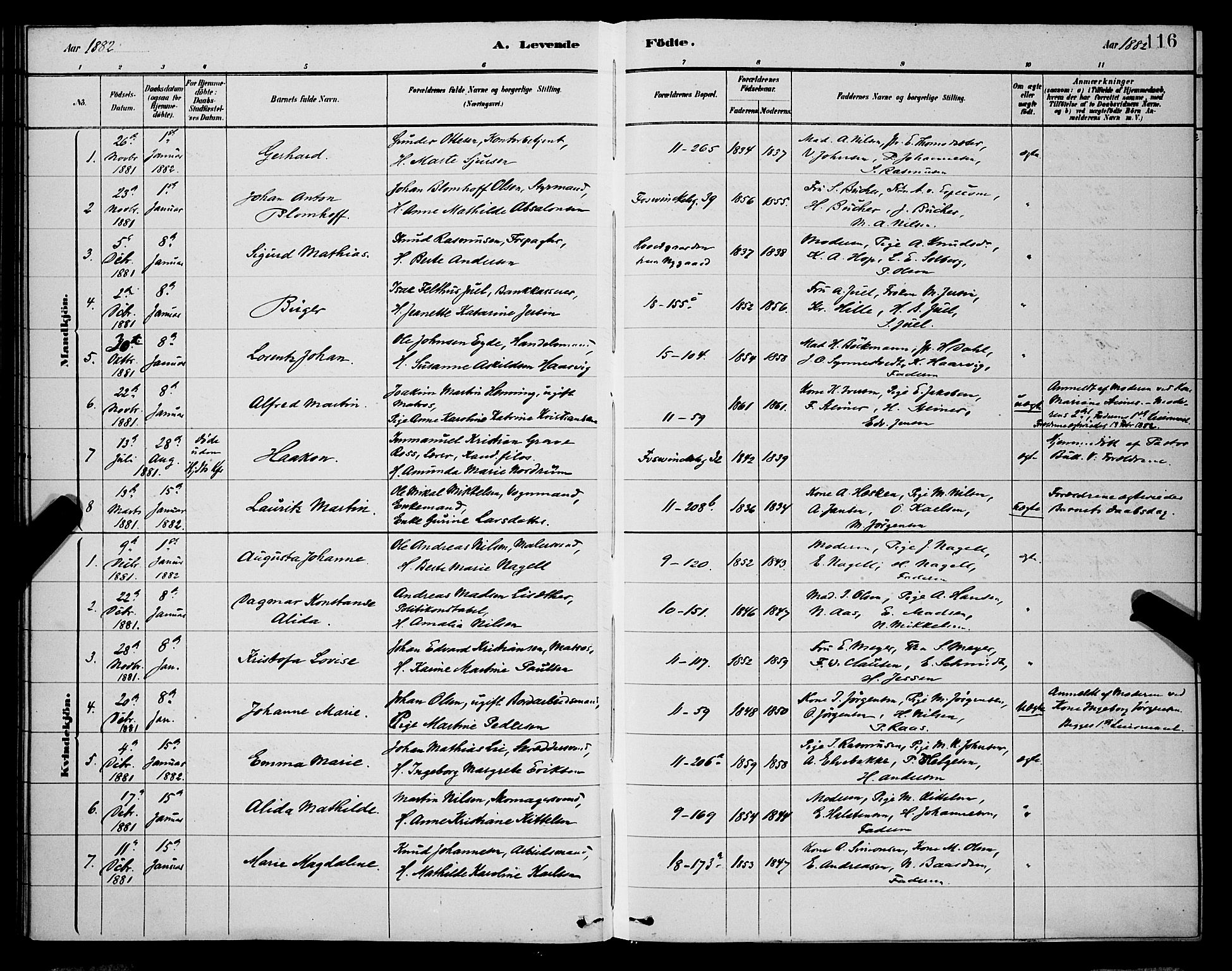 Domkirken sokneprestembete, SAB/A-74801/H/Hab/L0015: Parish register (copy) no. B 8, 1879-1887, p. 116